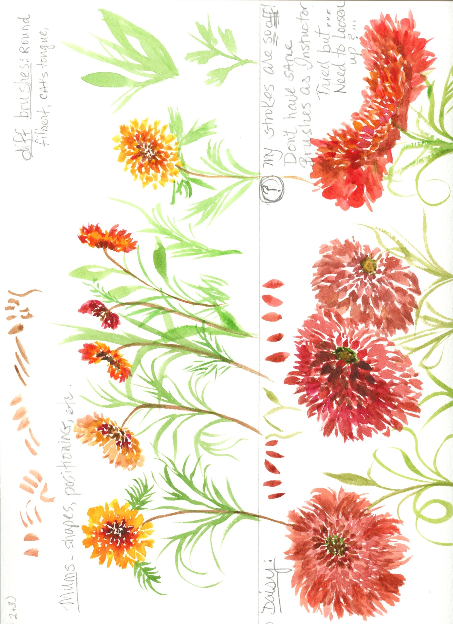 Loose Fall Watercolor Floras - image 2 - student project