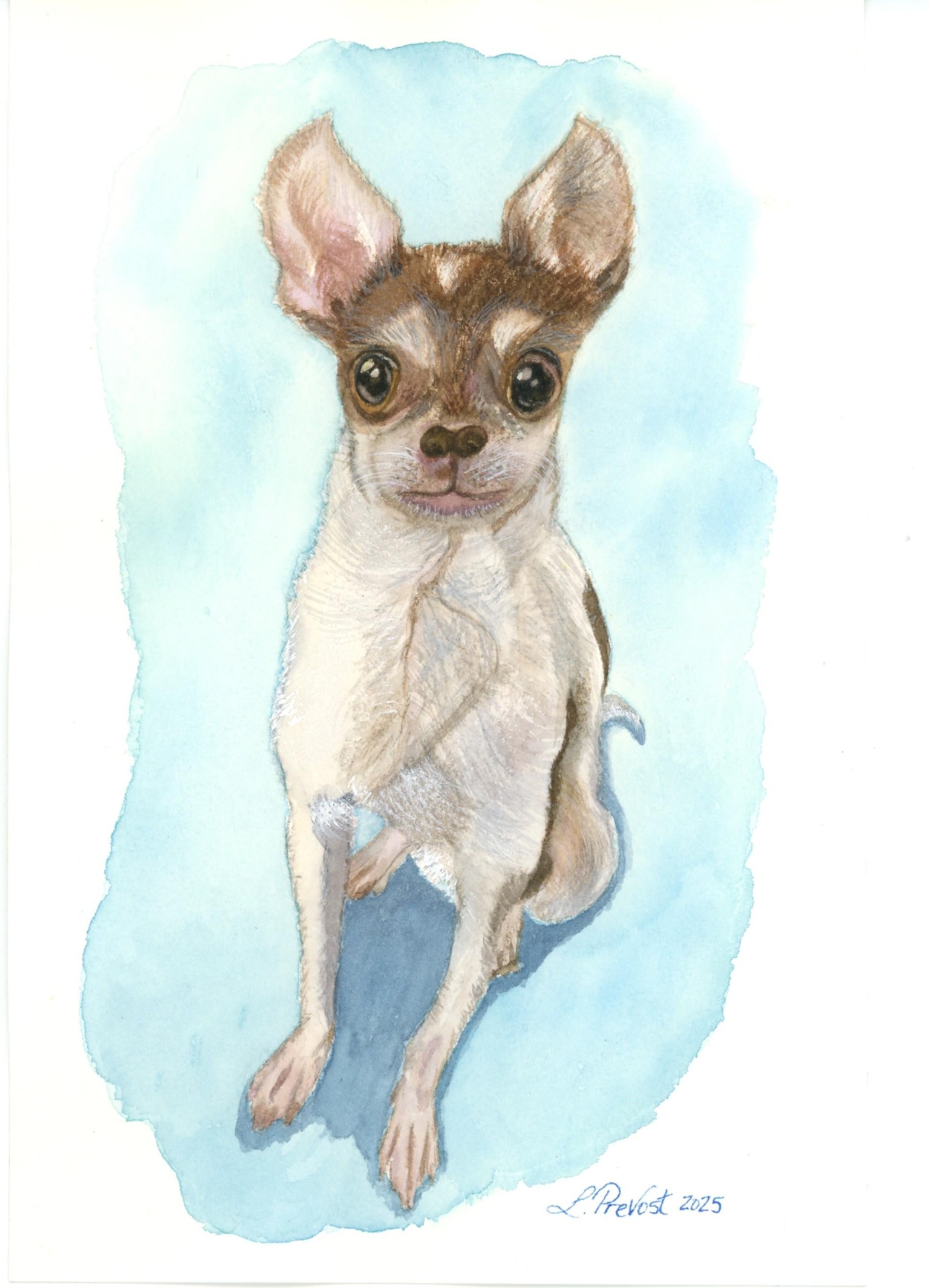 Watercolor Dog Portrait - image 3 - student project