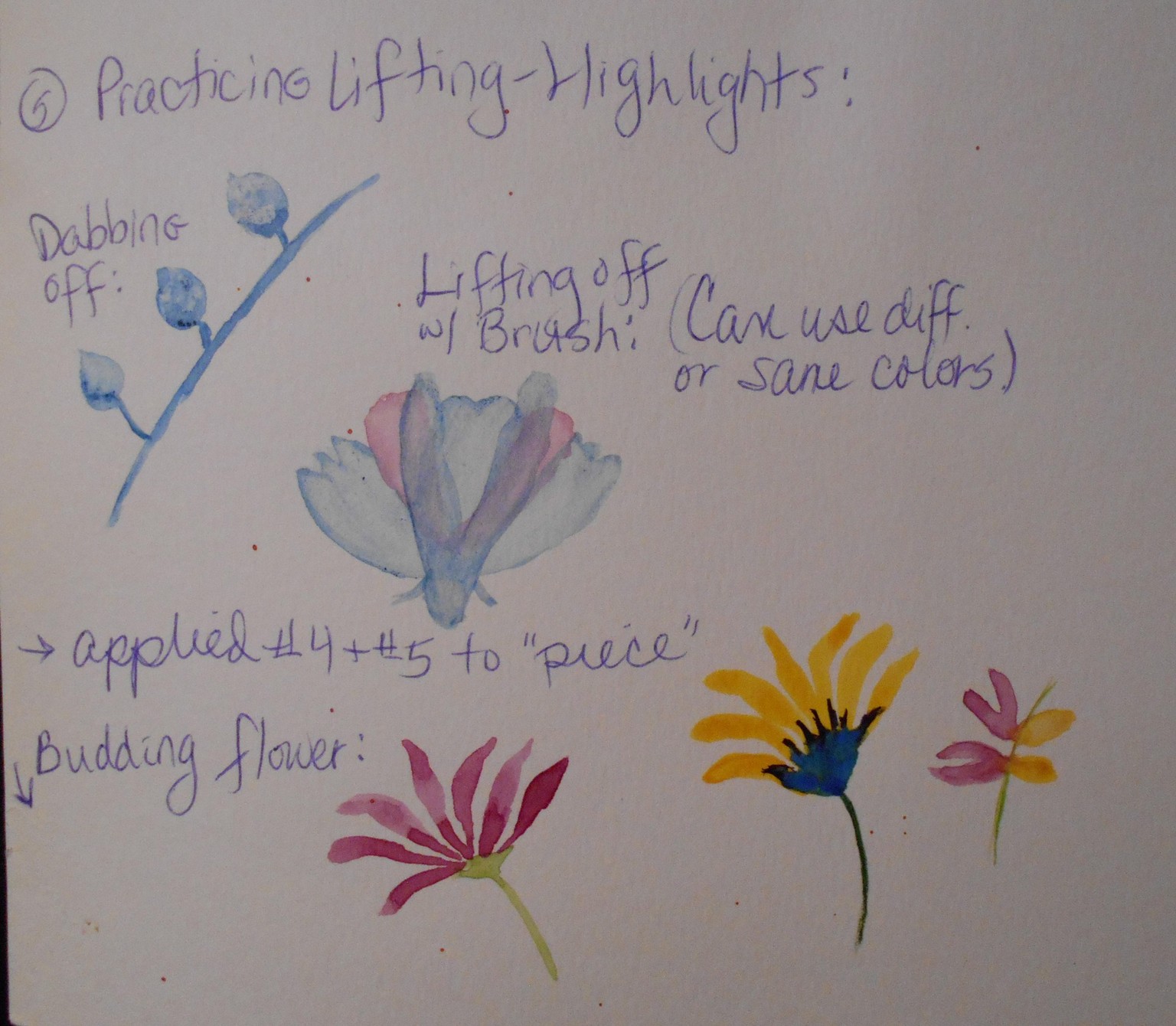 Watercolor Techniques & Textures - image 6 - student project