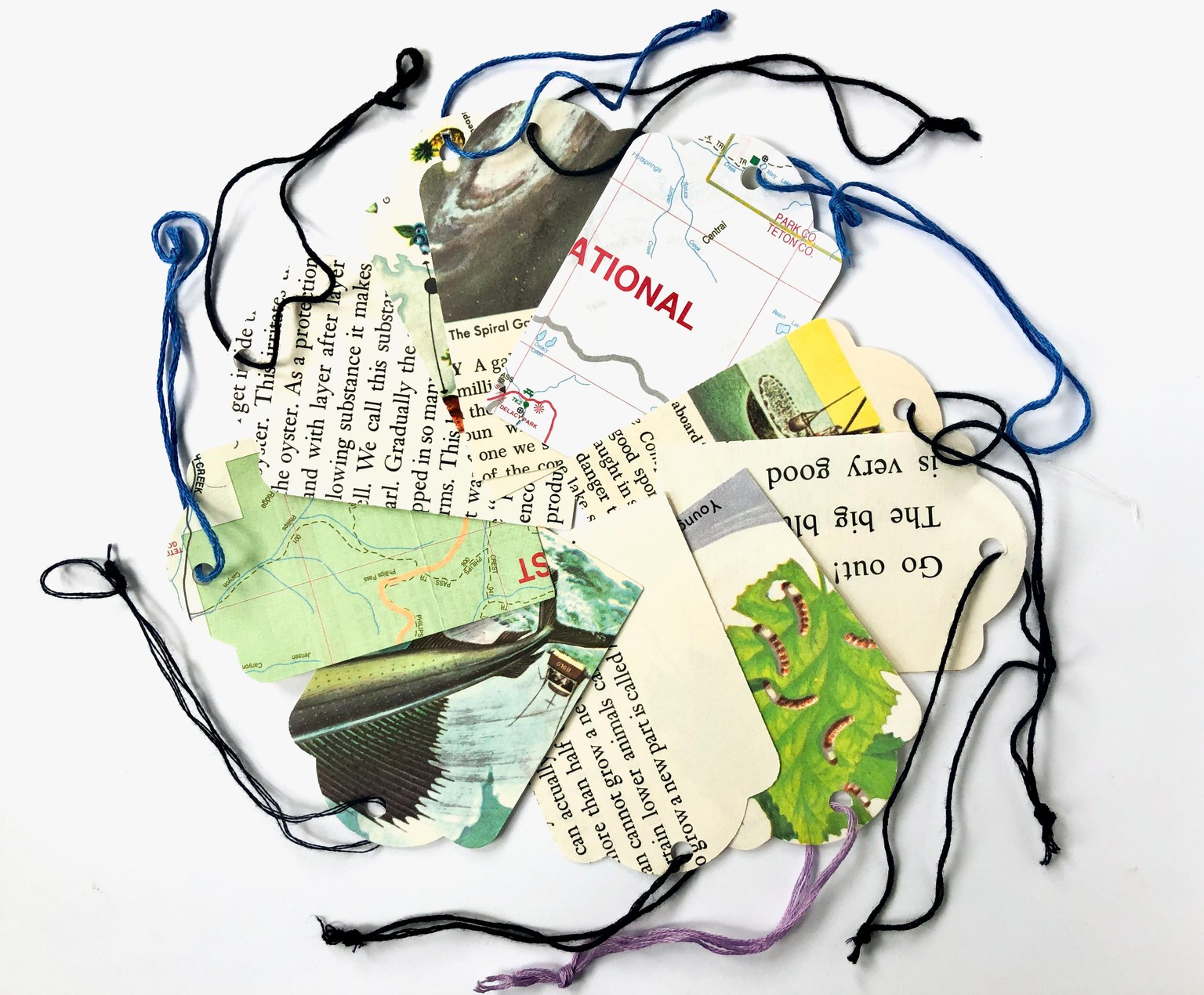 Product Photography for Ephemera  Bundle - image 1 - student project