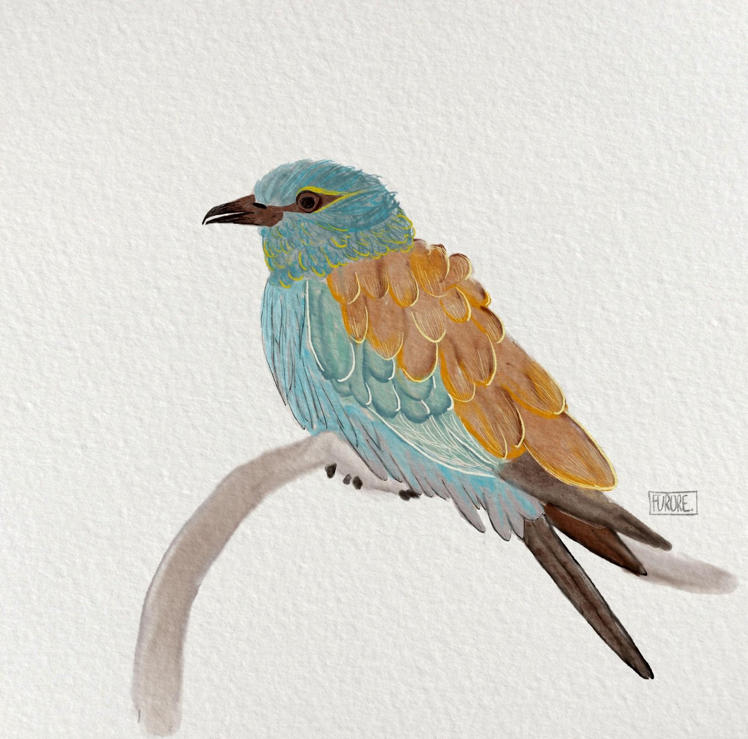 Bird in watercolor - image 1 - student project