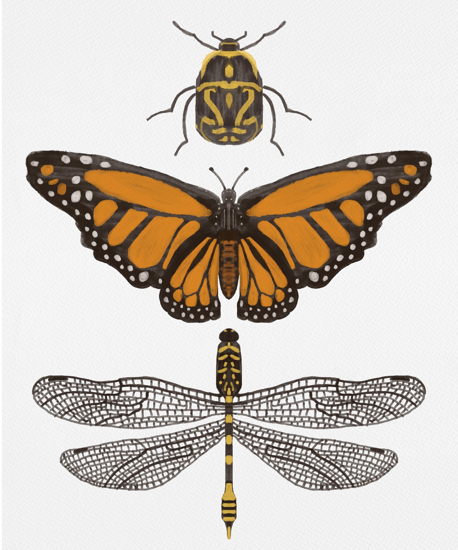Bugs - image 1 - student project