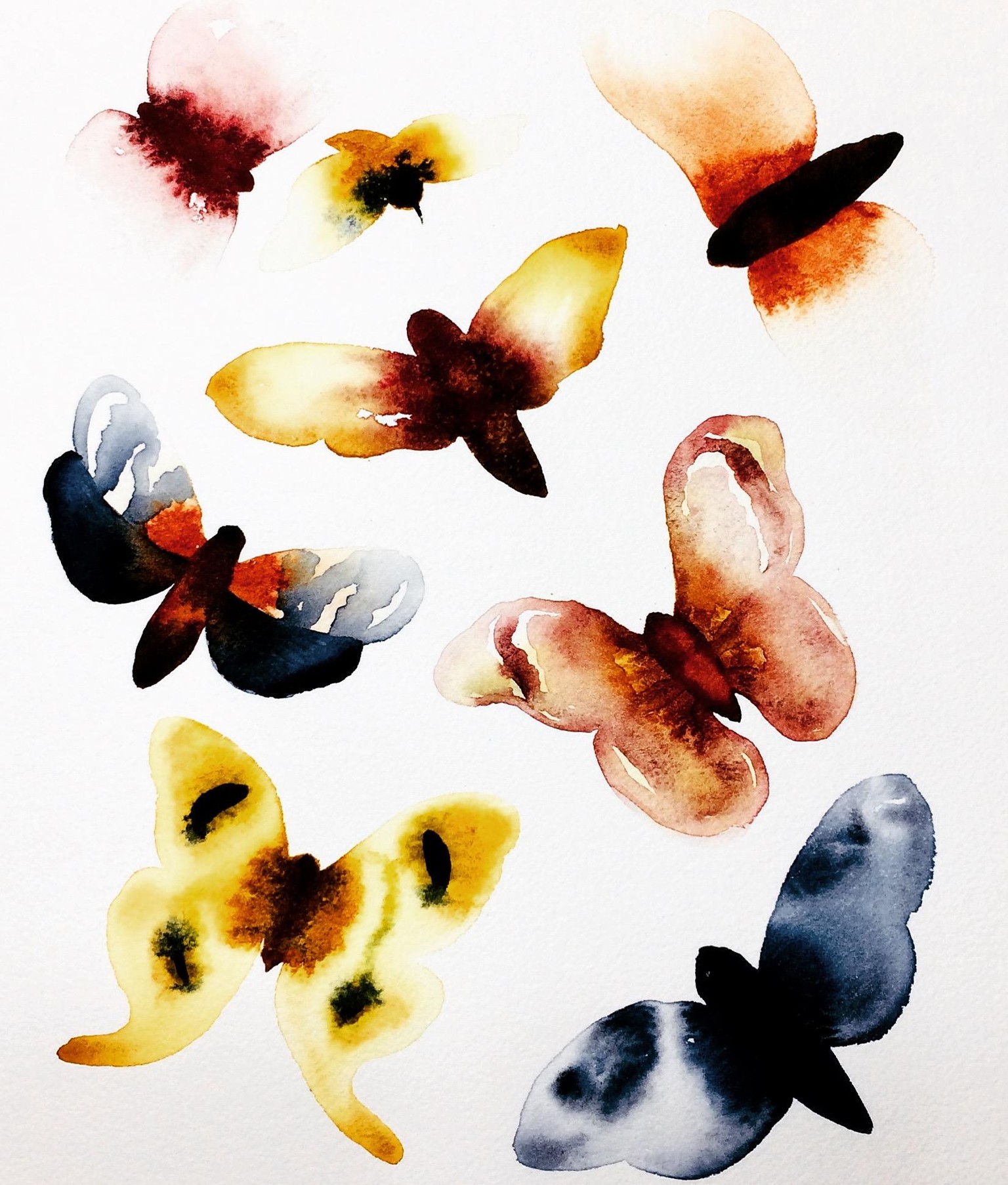 Watercolor moth experiments - image 1 - student project