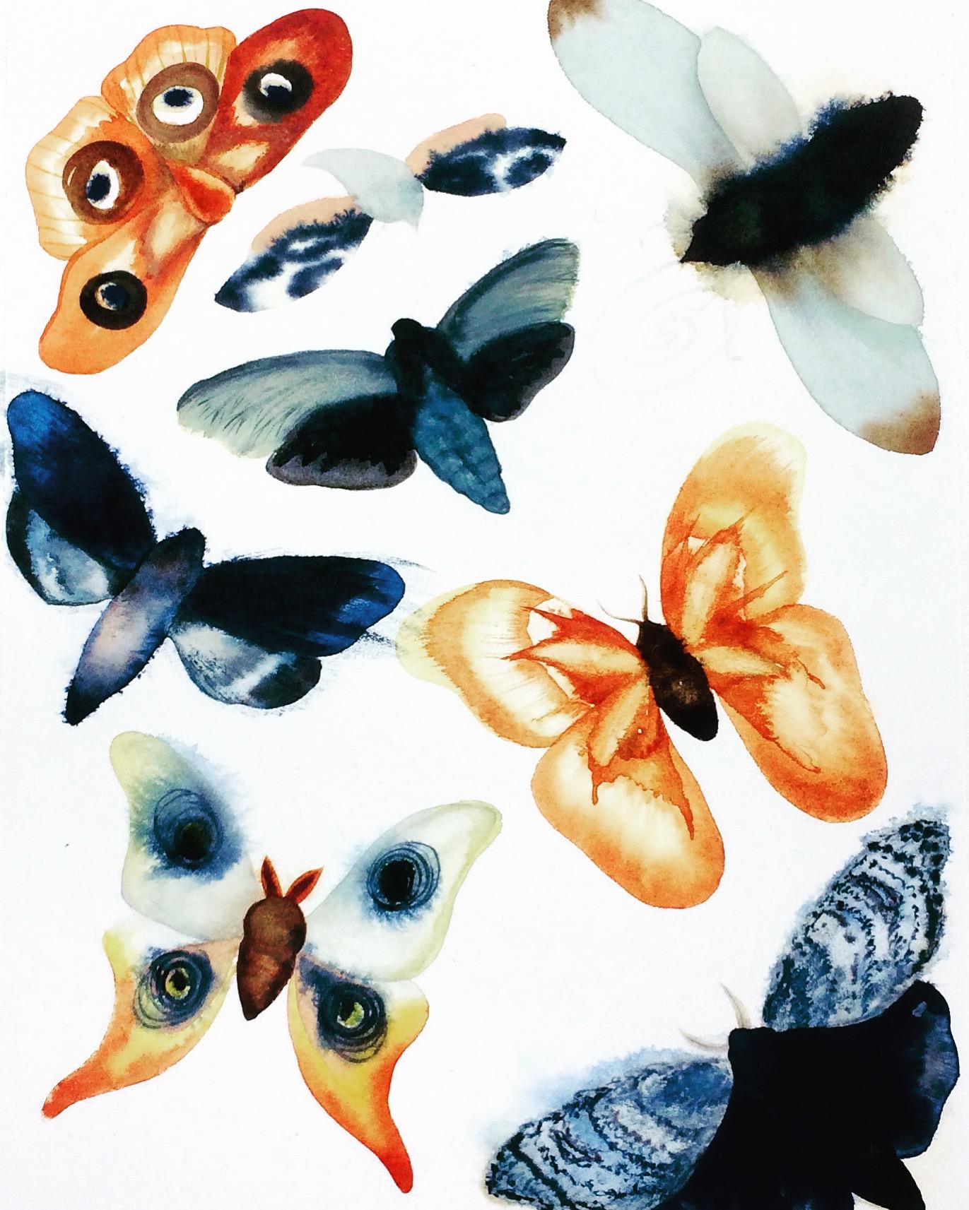 Watercolor and gouache moths - image 1 - student project