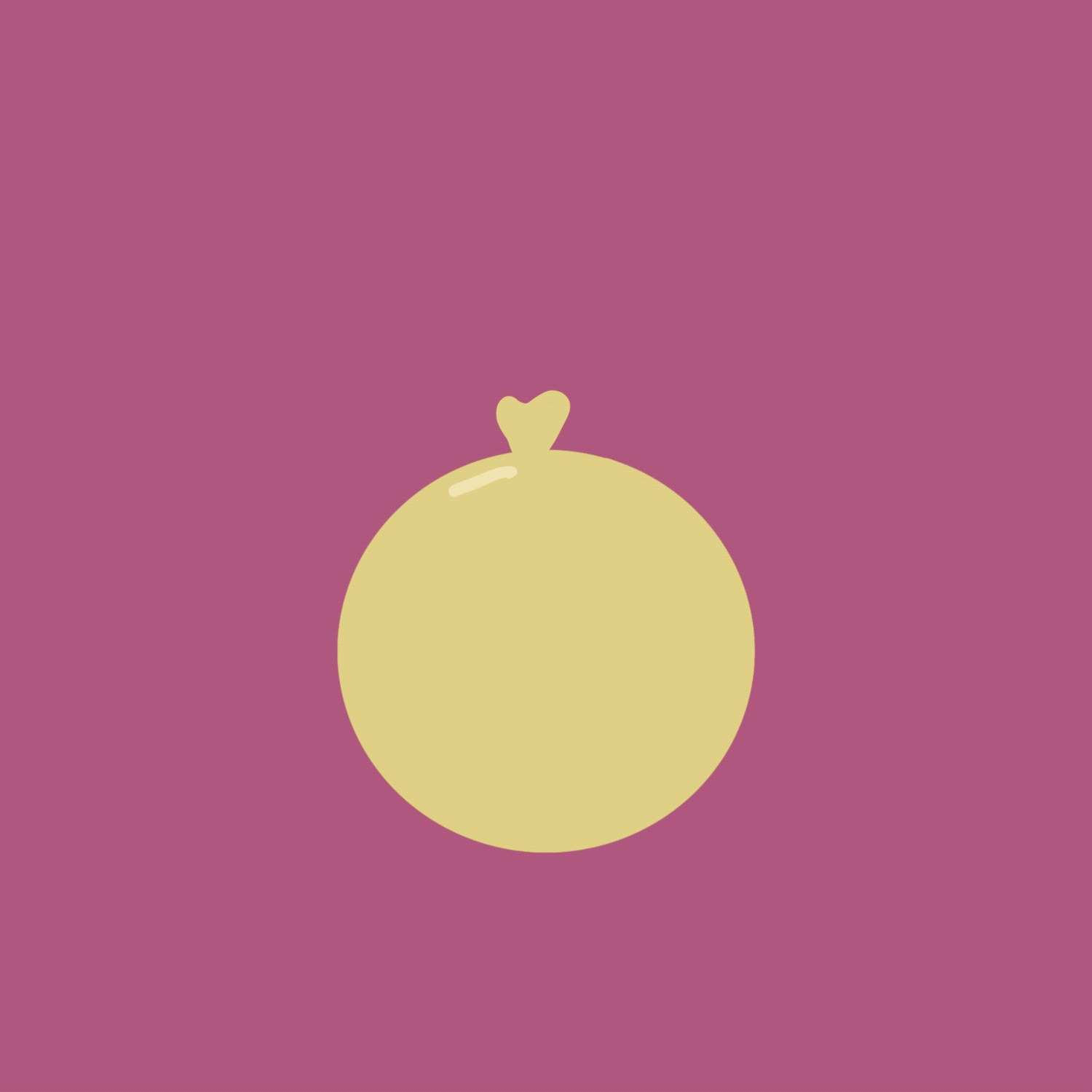 squash + stretch - image 1 - student project