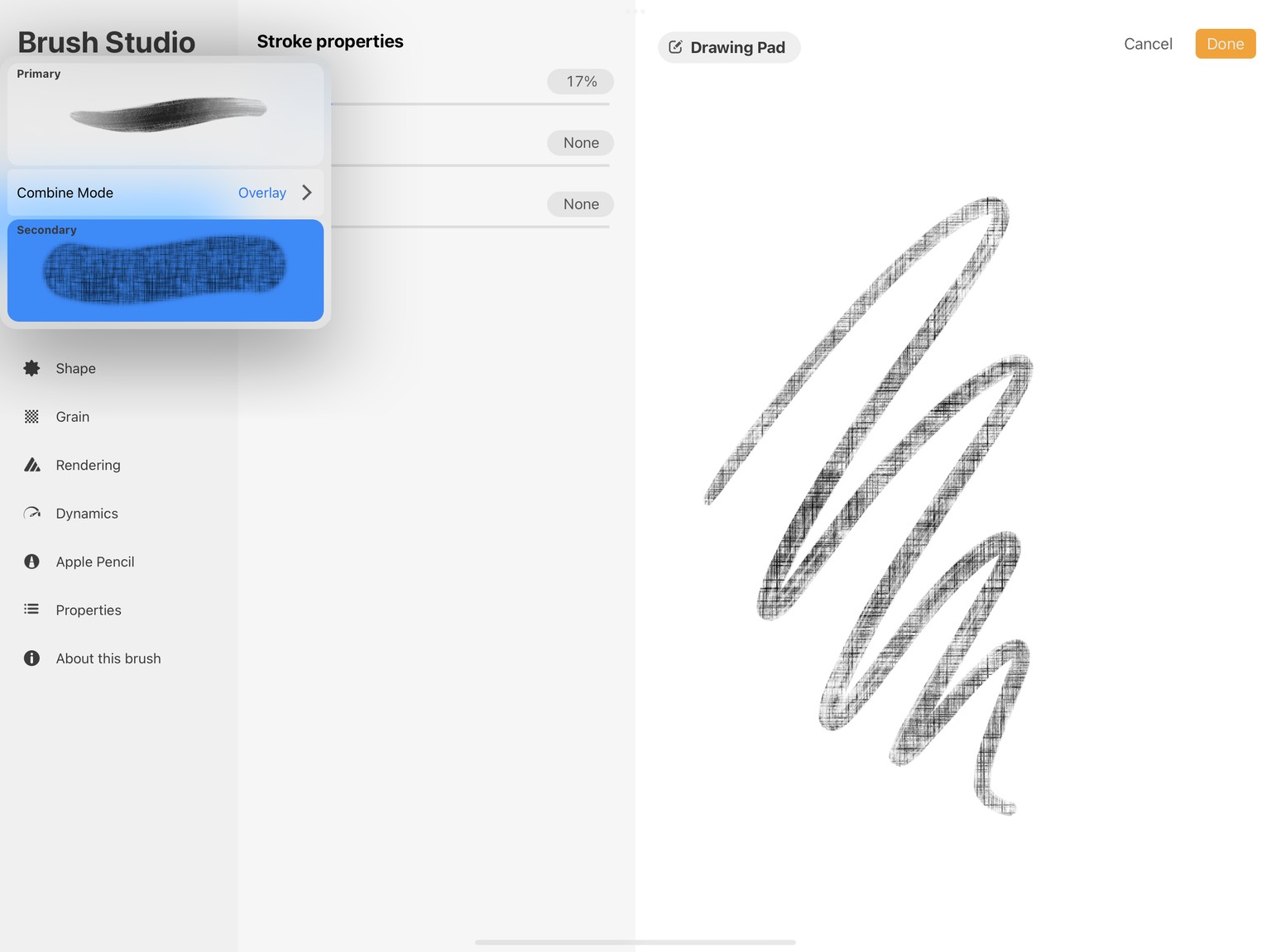 Dual Brushes have opened so many doors! - image 3 - student project