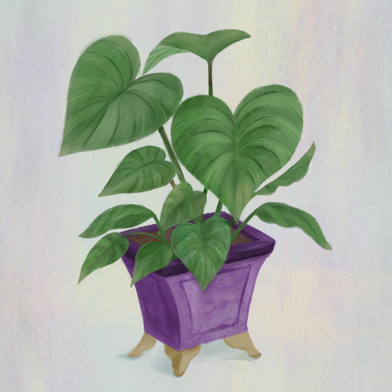 House plants - image 1 - student project