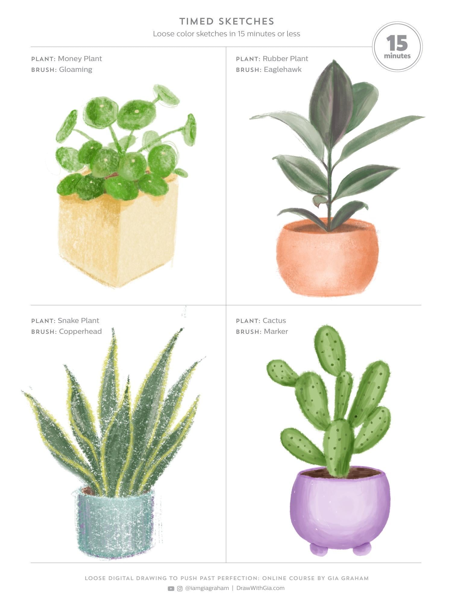 House plants - image 2 - student project