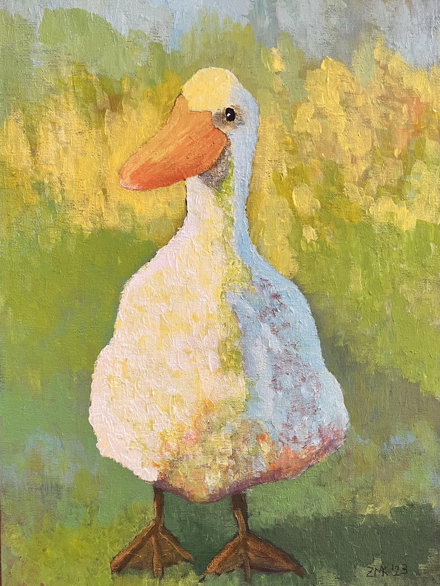 Mystery Duck - image 1 - student project