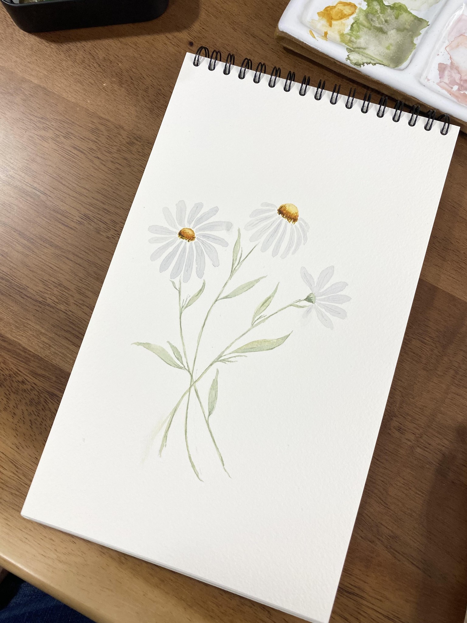 15-Day Watercolor Challenge - image 9 - student project
