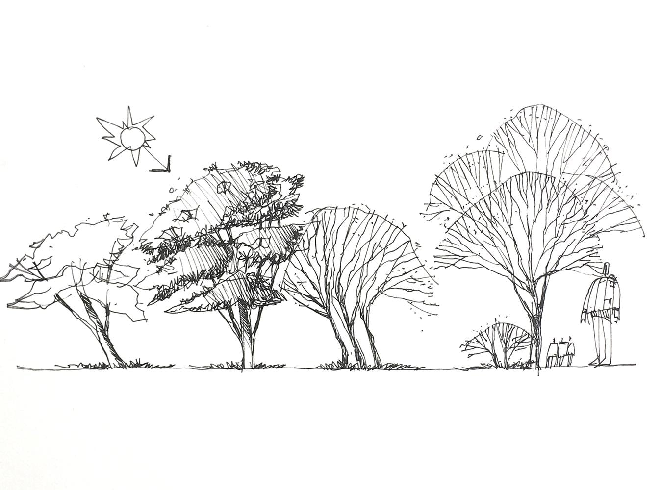 Cars, trees and Furnishings - image 4 - student project