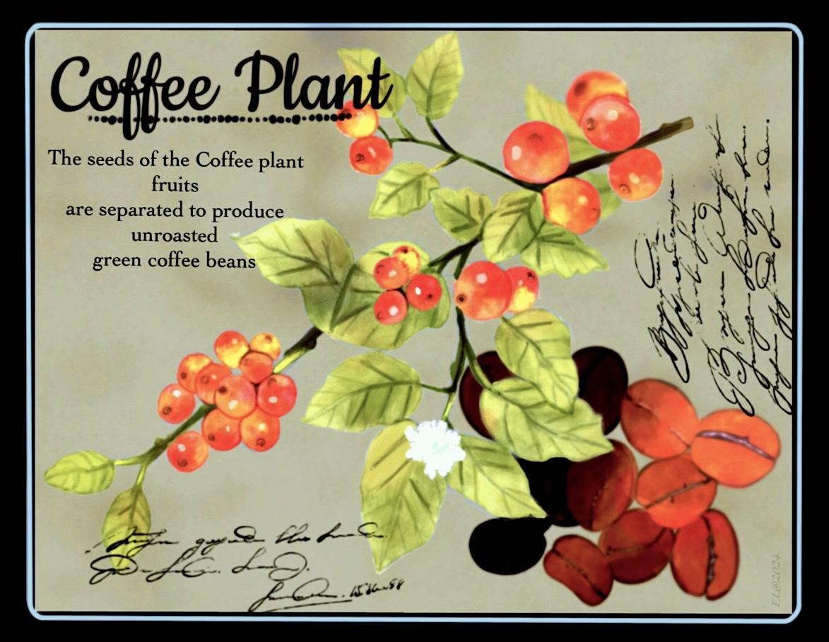 Coffee Poster Painting in WC Technique - image 1 - student project