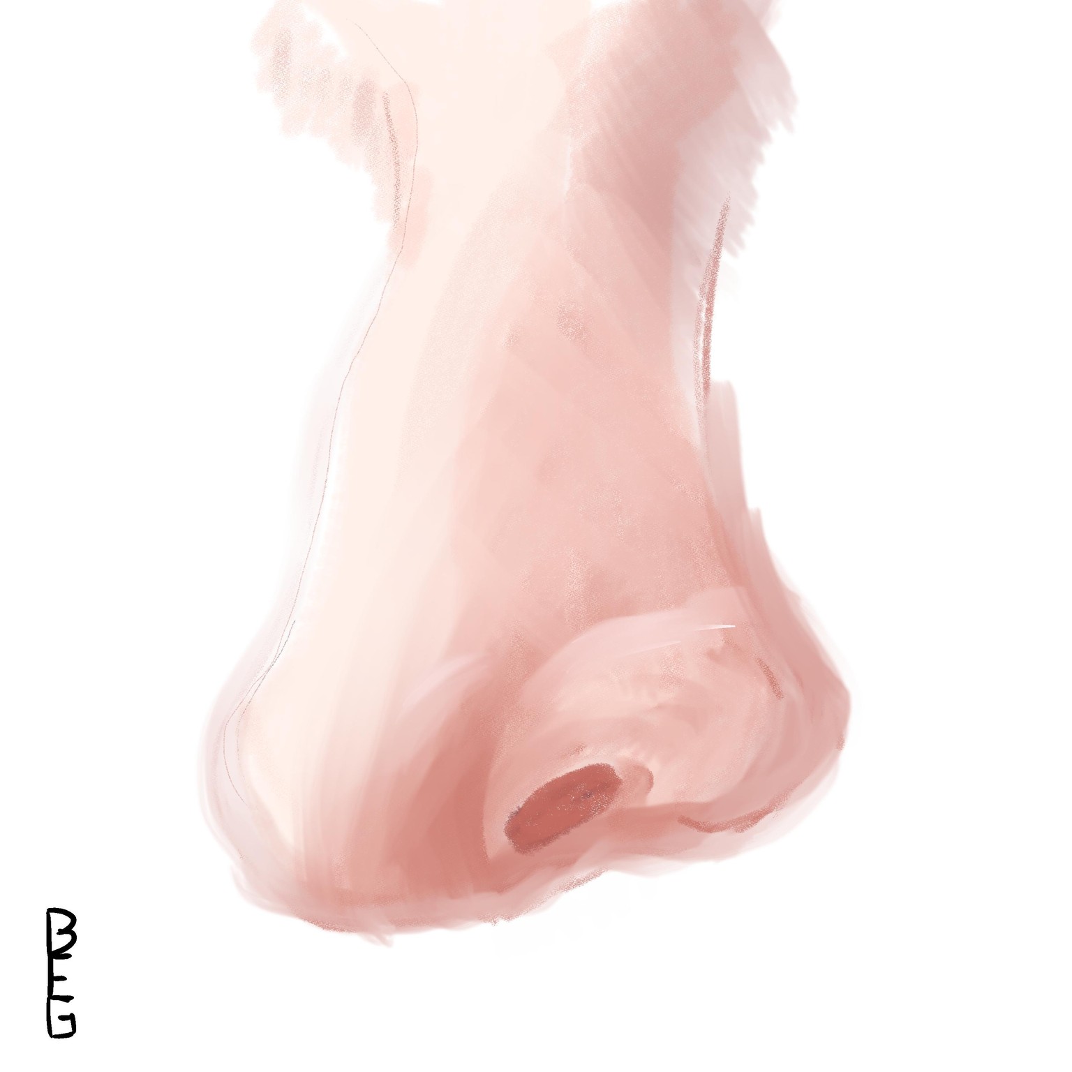 Noses! - image 1 - student project