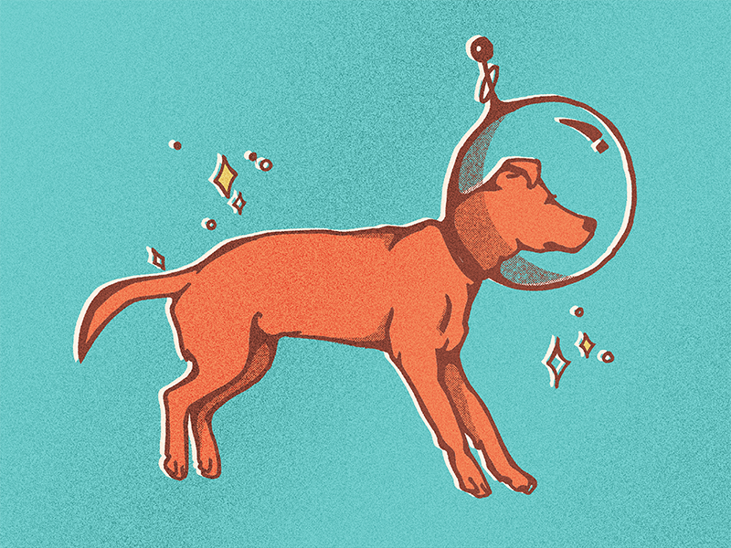 Astro-Dog - image 1 - student project