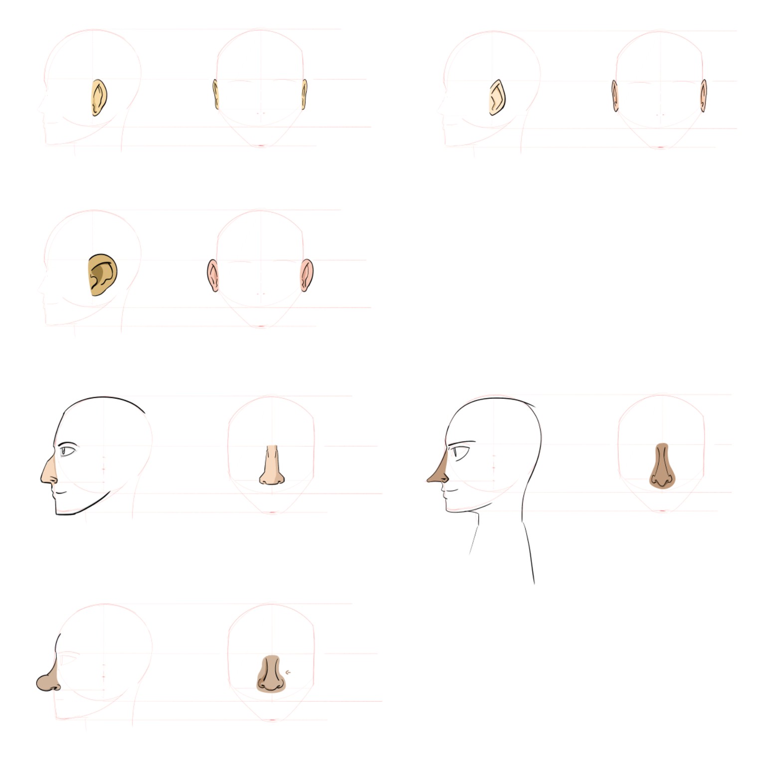 Noses & Ears - image 1 - student project