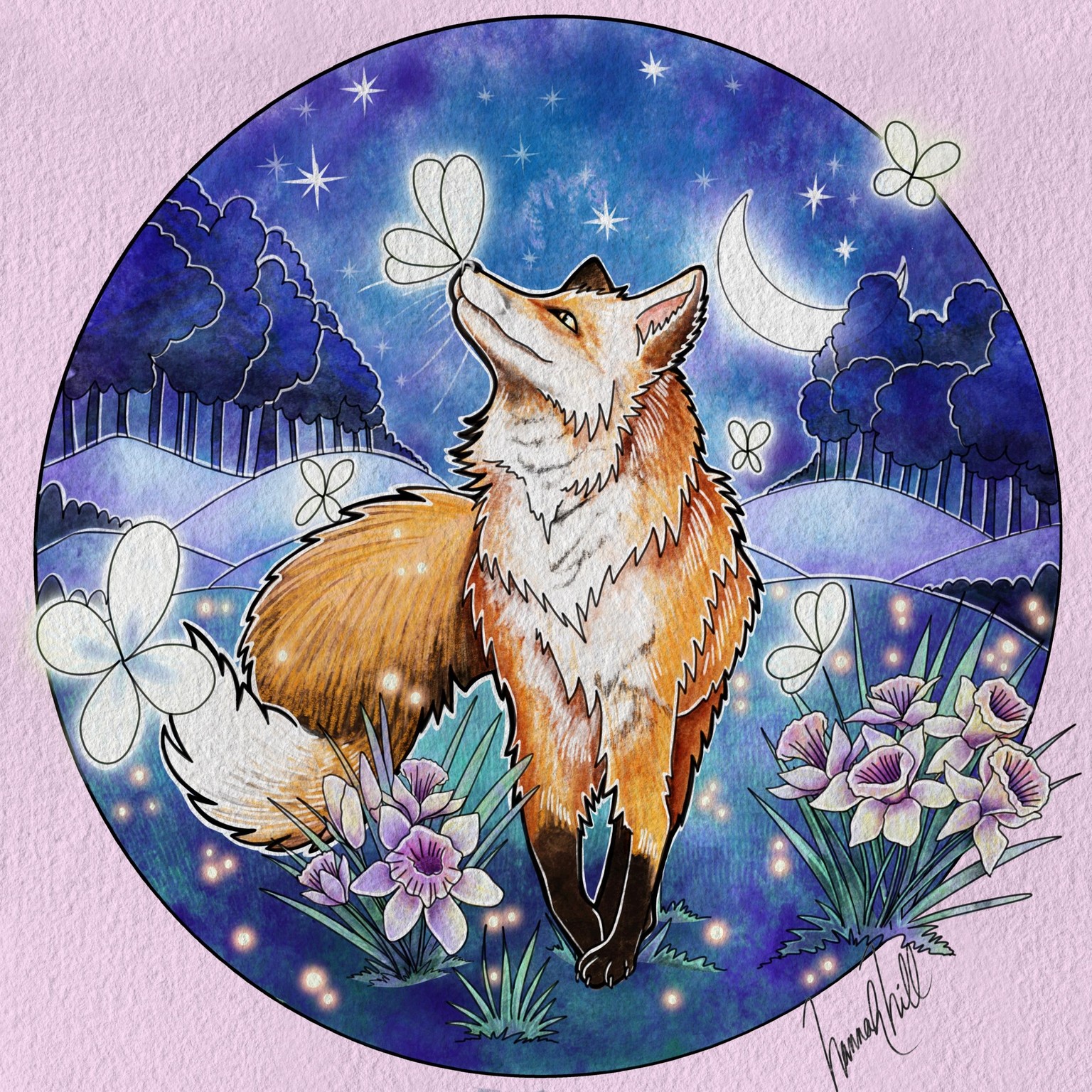 Fox in the Moonlight - image 1 - student project