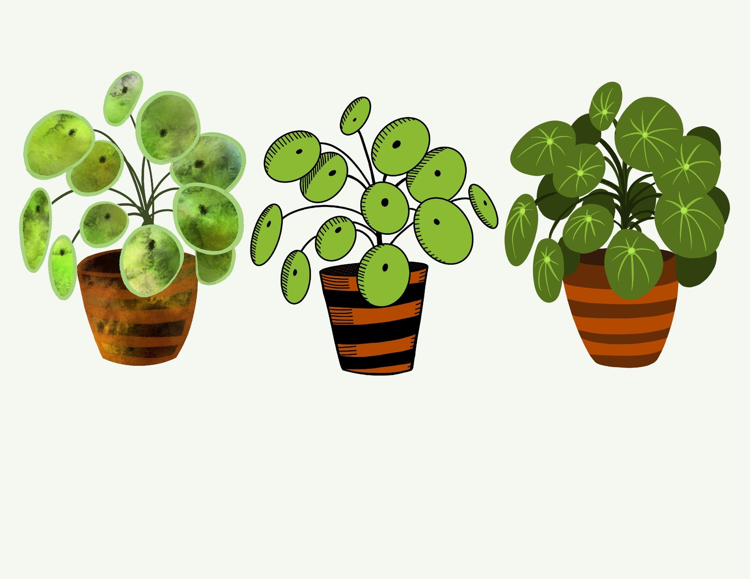 Plant Pots - image 2 - student project