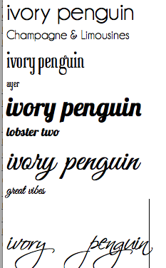 Ivory Penguin Branding - image 7 - student project