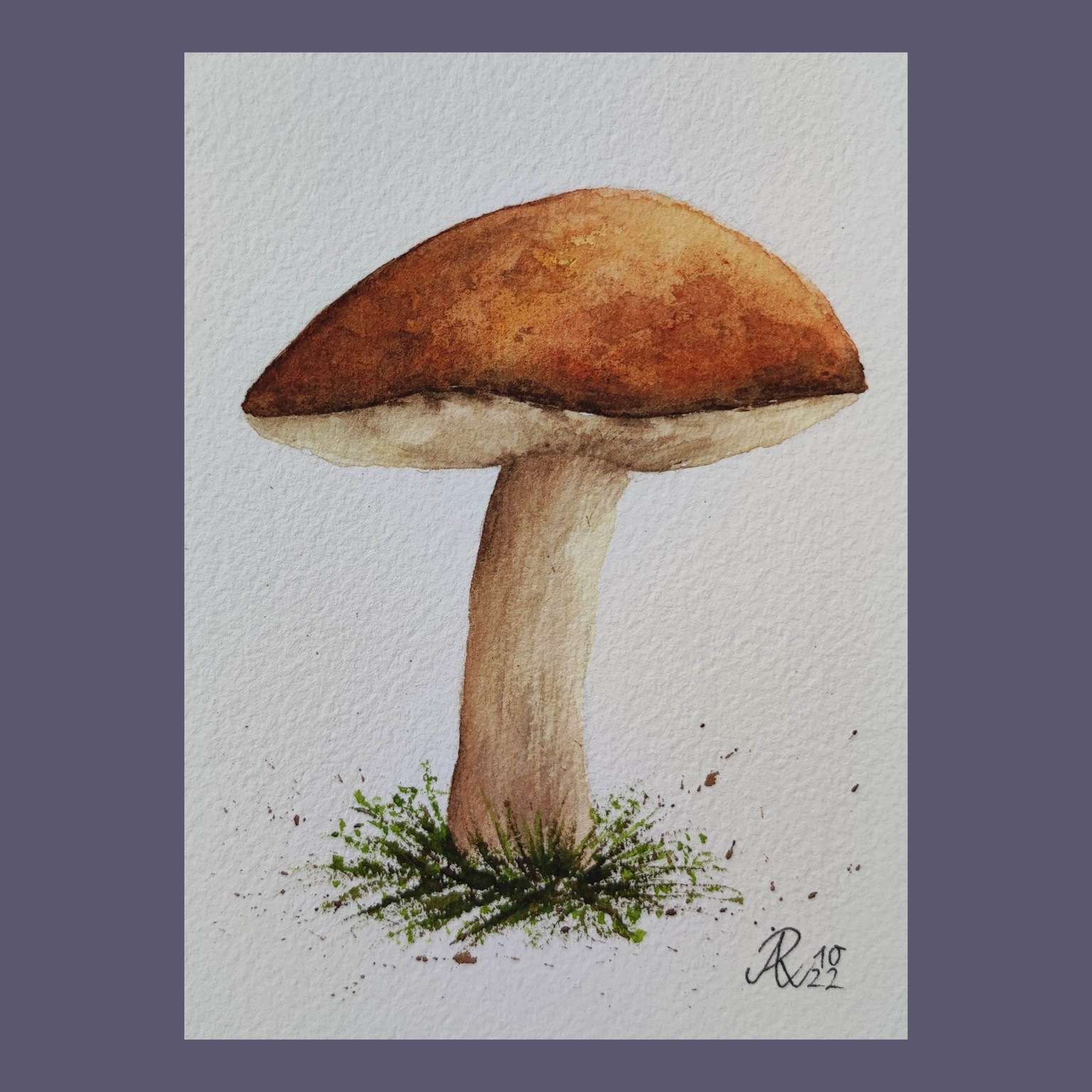 My 12-Days-Leaves&Mushrooms-Journey - image 4 - student project