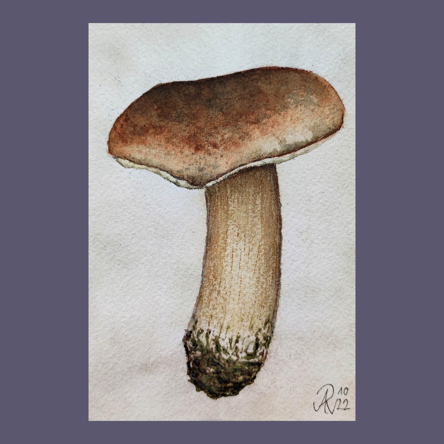 My 12-Days-Leaves&Mushrooms-Journey - image 8 - student project
