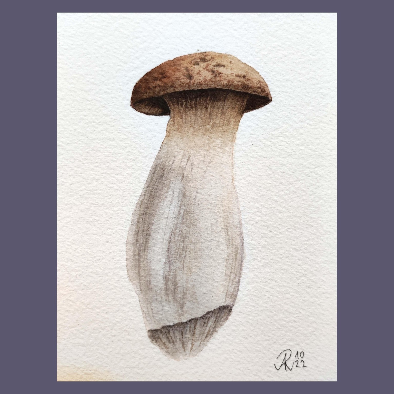 My 12-Days-Leaves&Mushrooms-Journey - image 6 - student project