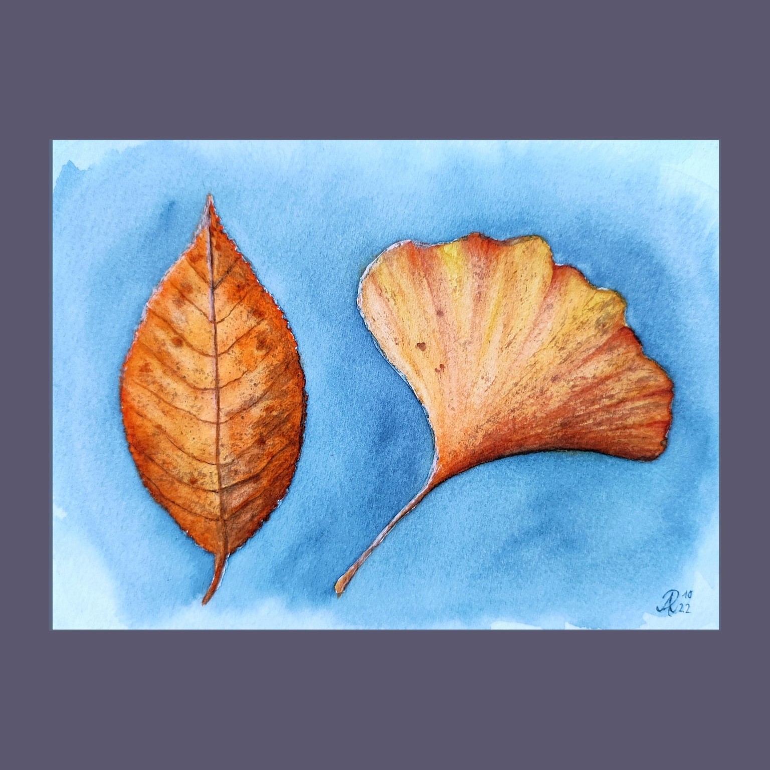 My 12-Days-Leaves&Mushrooms-Journey - image 7 - student project