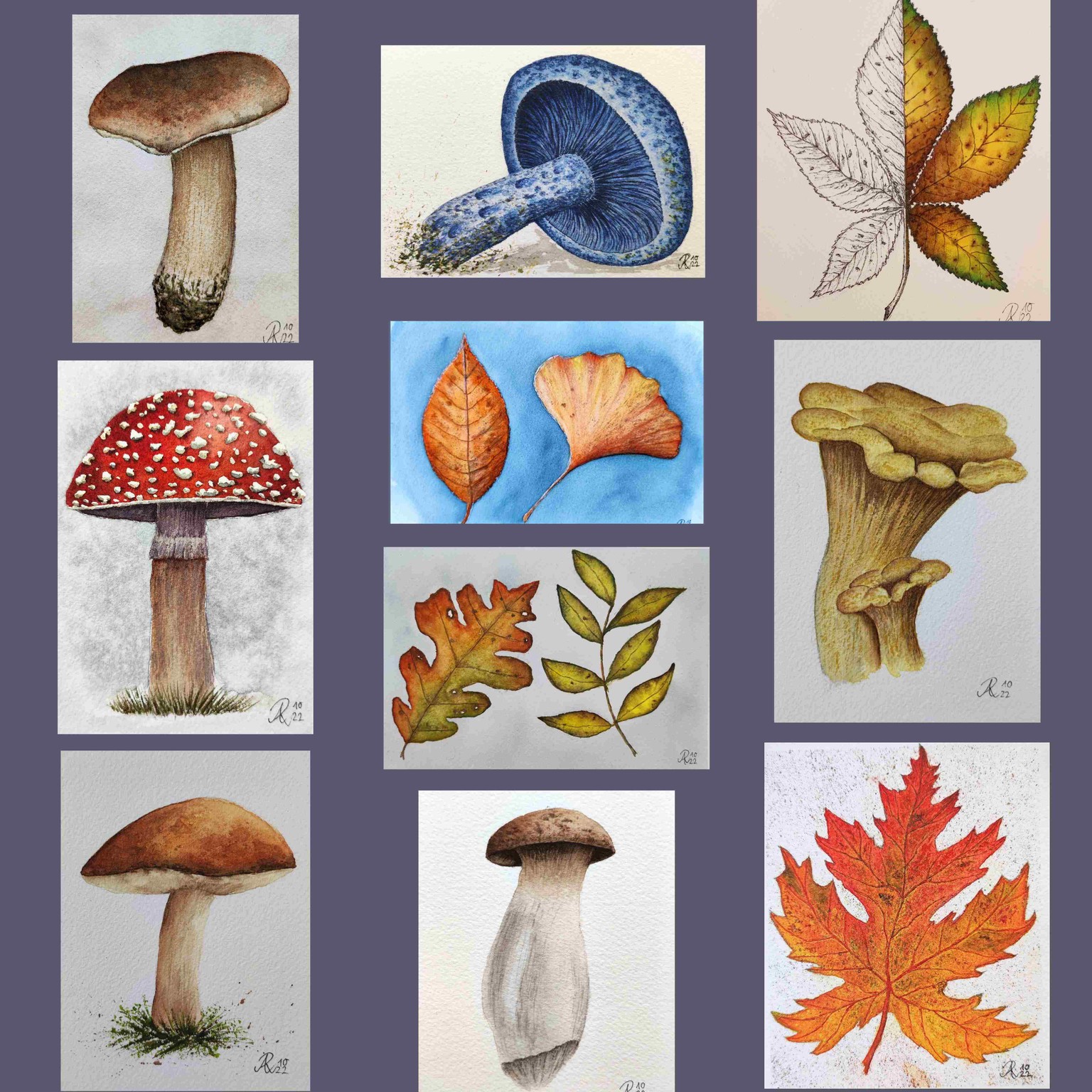 My 12-Days-Leaves&Mushrooms-Journey - image 1 - student project