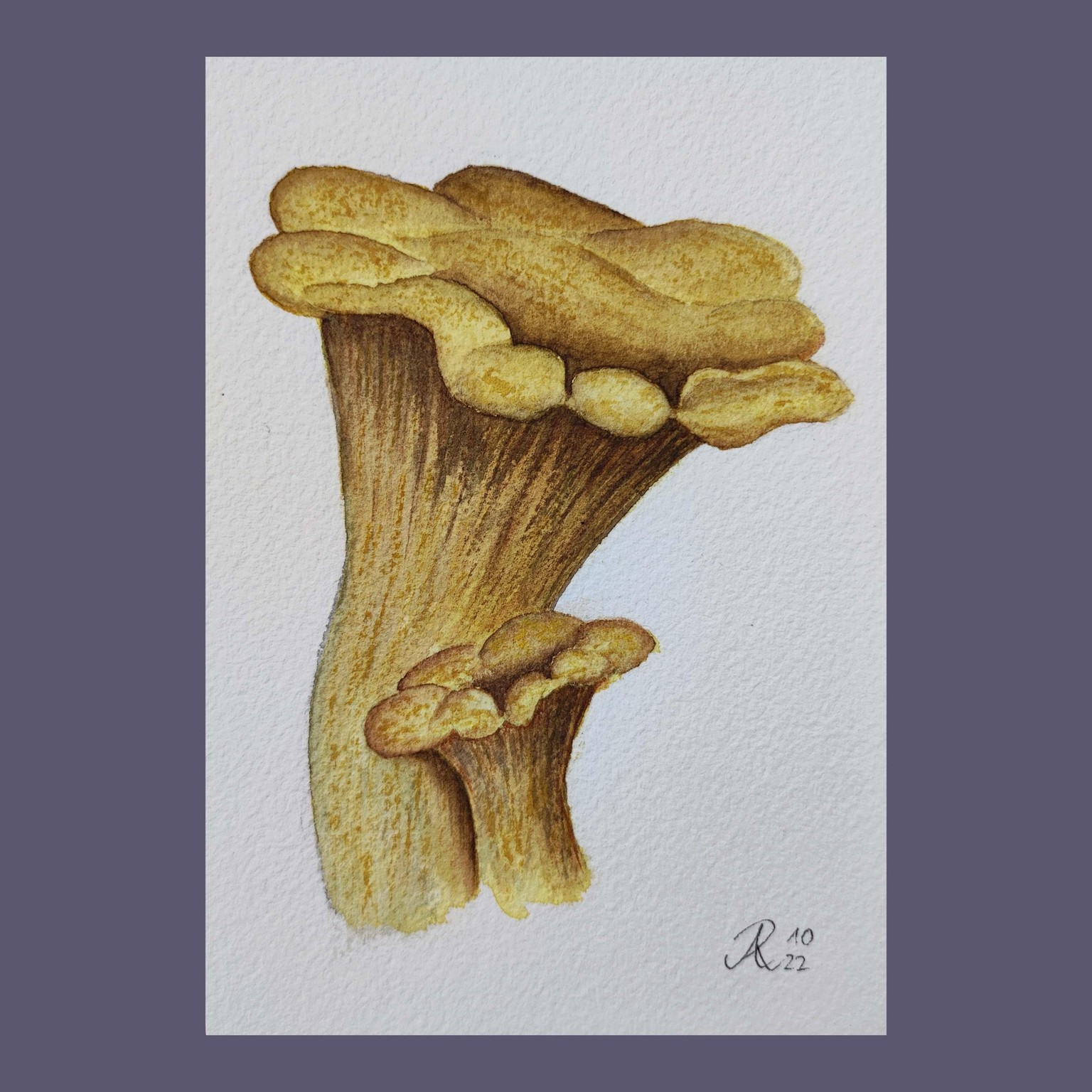 My 12-Days-Leaves&Mushrooms-Journey - image 10 - student project