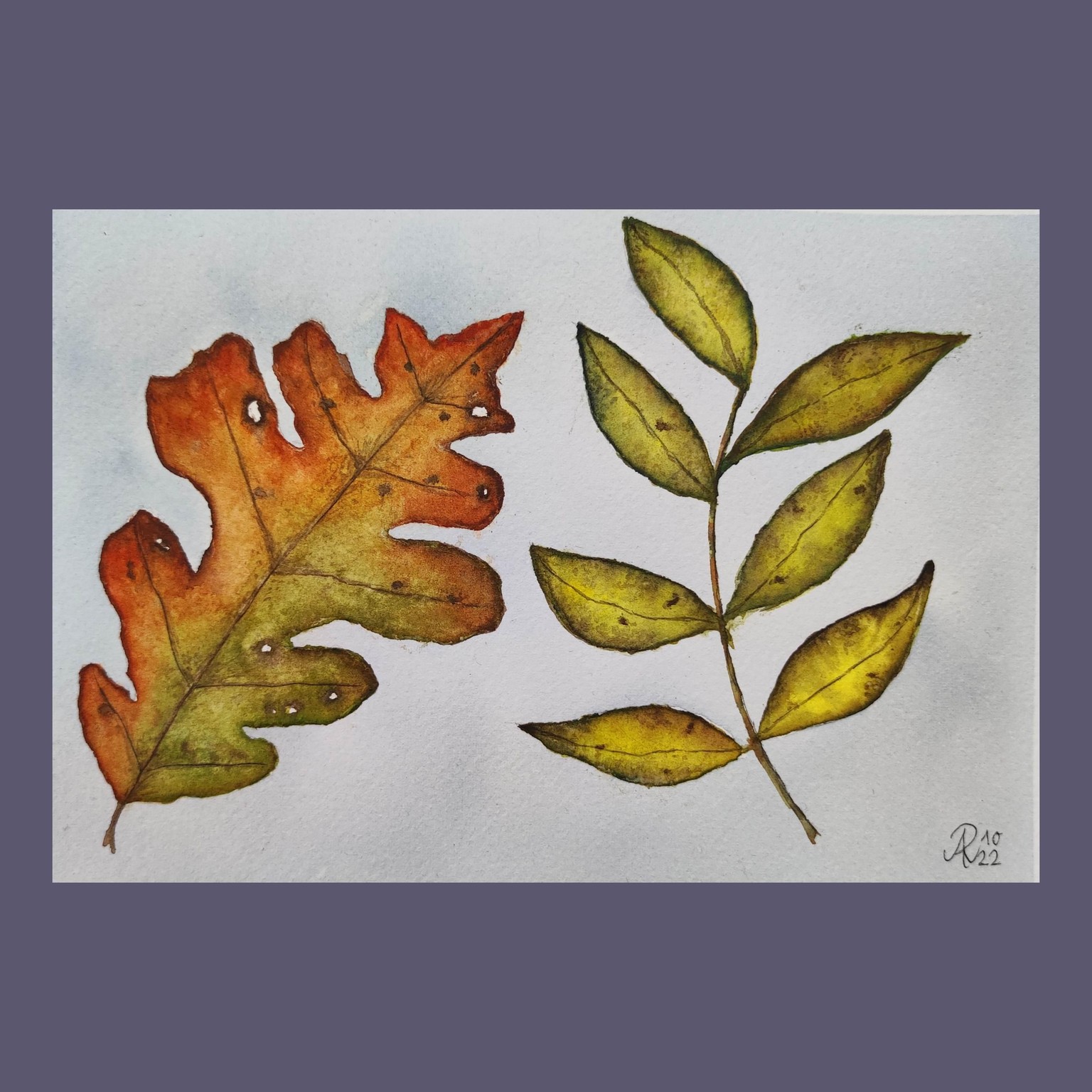 My 12-Days-Leaves&Mushrooms-Journey - image 5 - student project