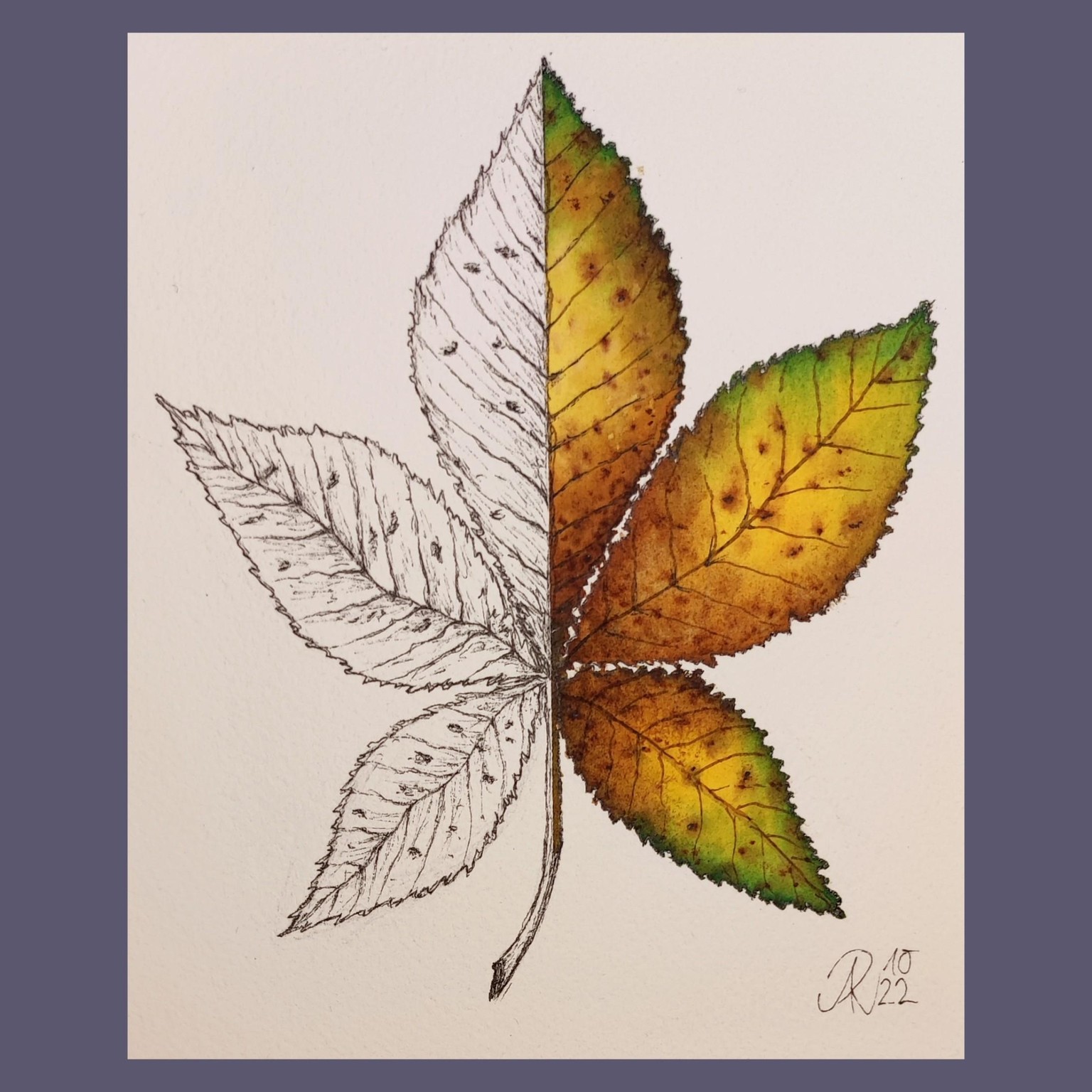 My 12-Days-Leaves&Mushrooms-Journey - image 3 - student project