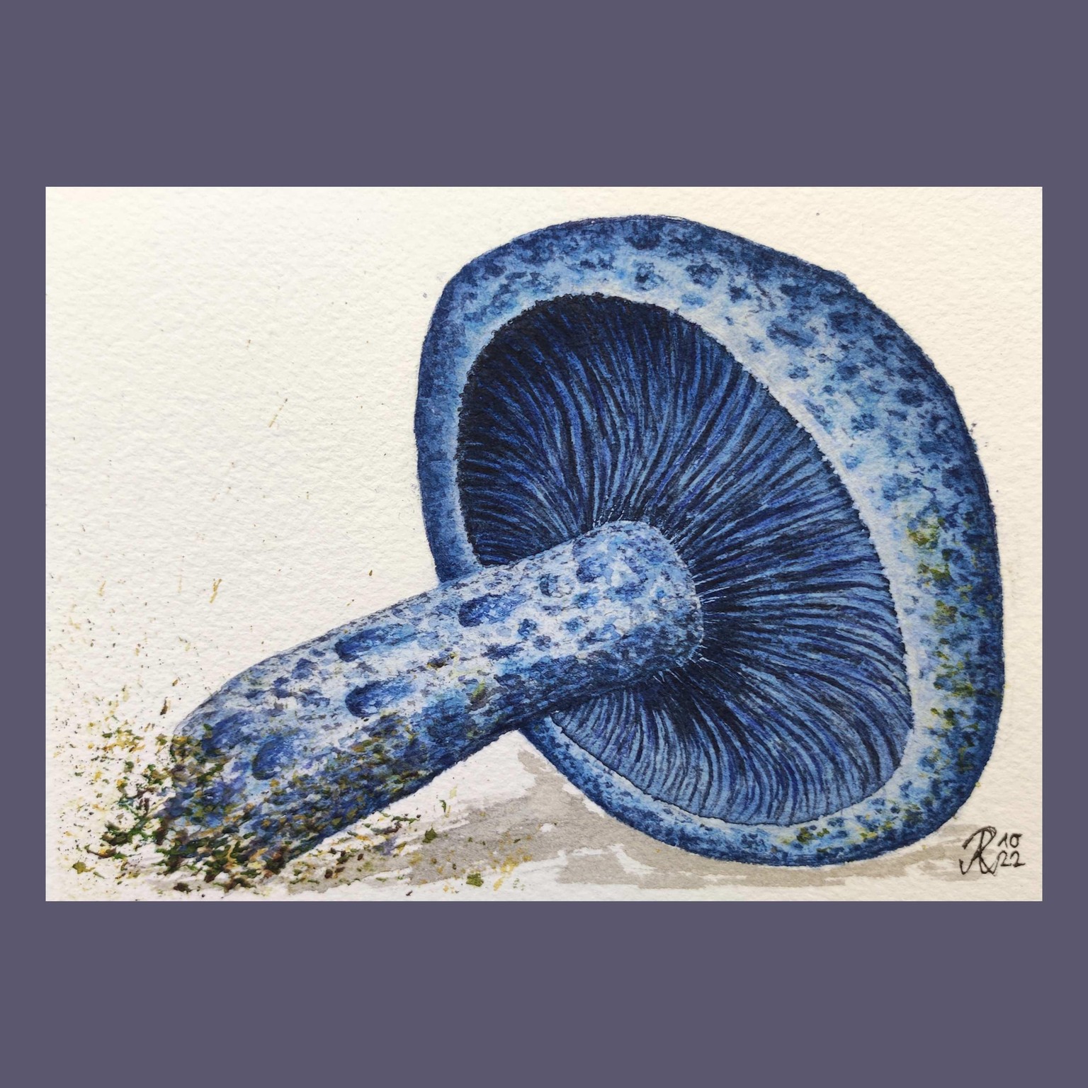 My 12-Days-Leaves&Mushrooms-Journey - image 11 - student project
