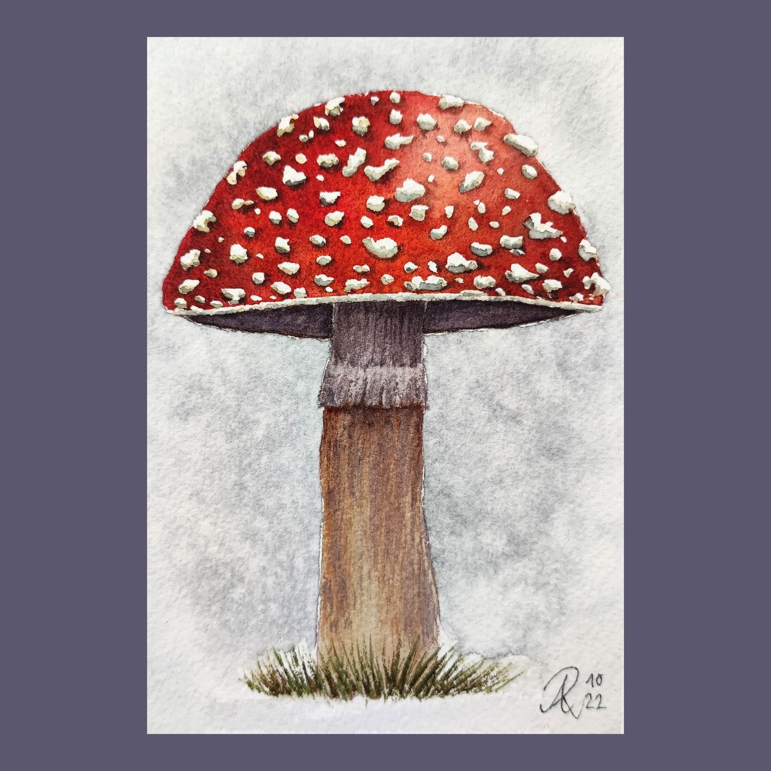 My 12-Days-Leaves&Mushrooms-Journey - image 2 - student project