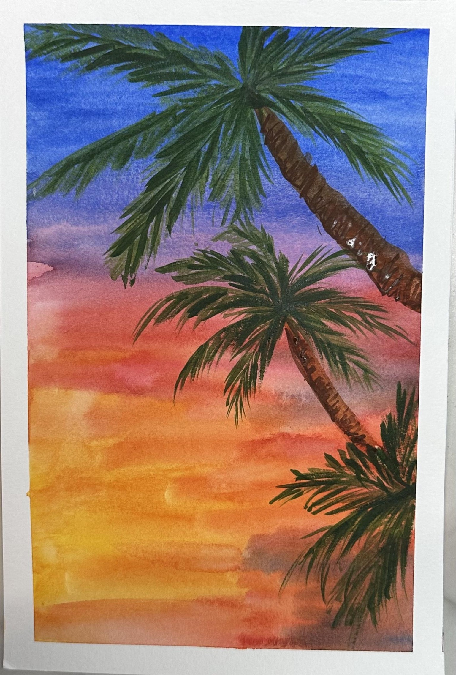 Palm trees - image 1 - student project