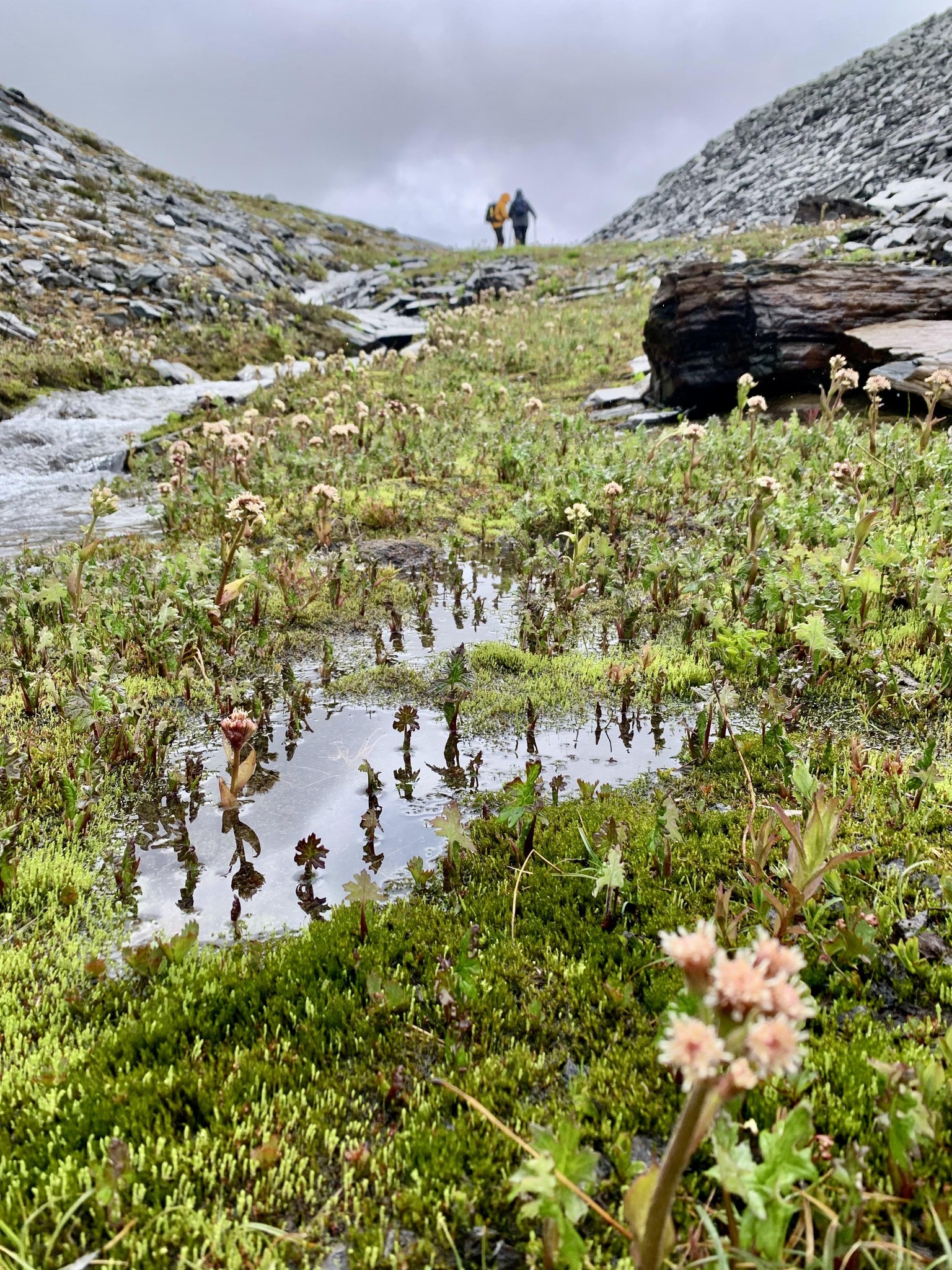 Composition in landscapes - image 2 - student project
