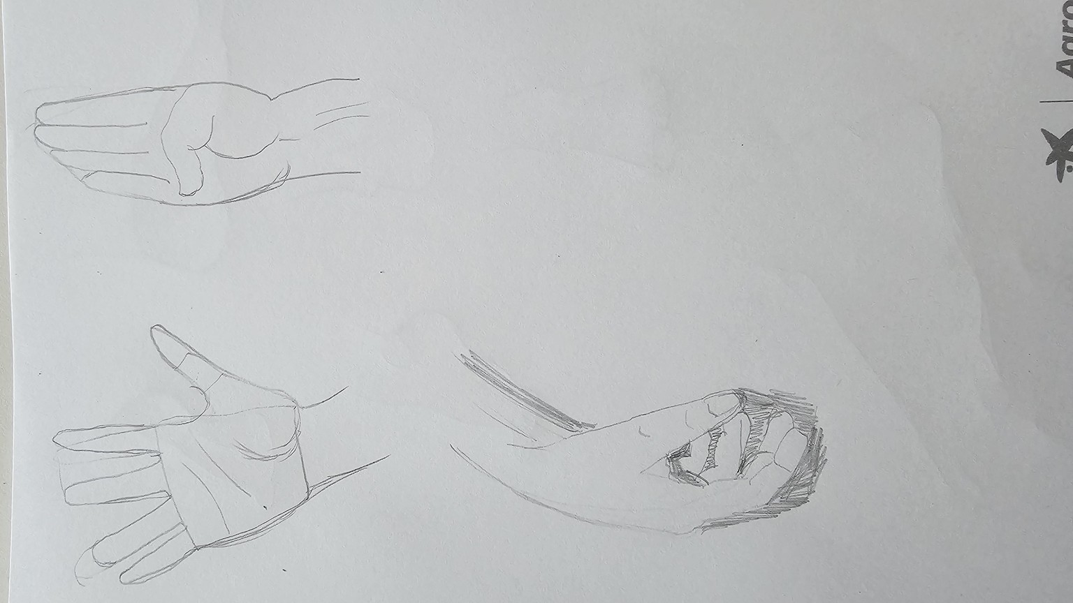 Hands and feet - image 2 - student project