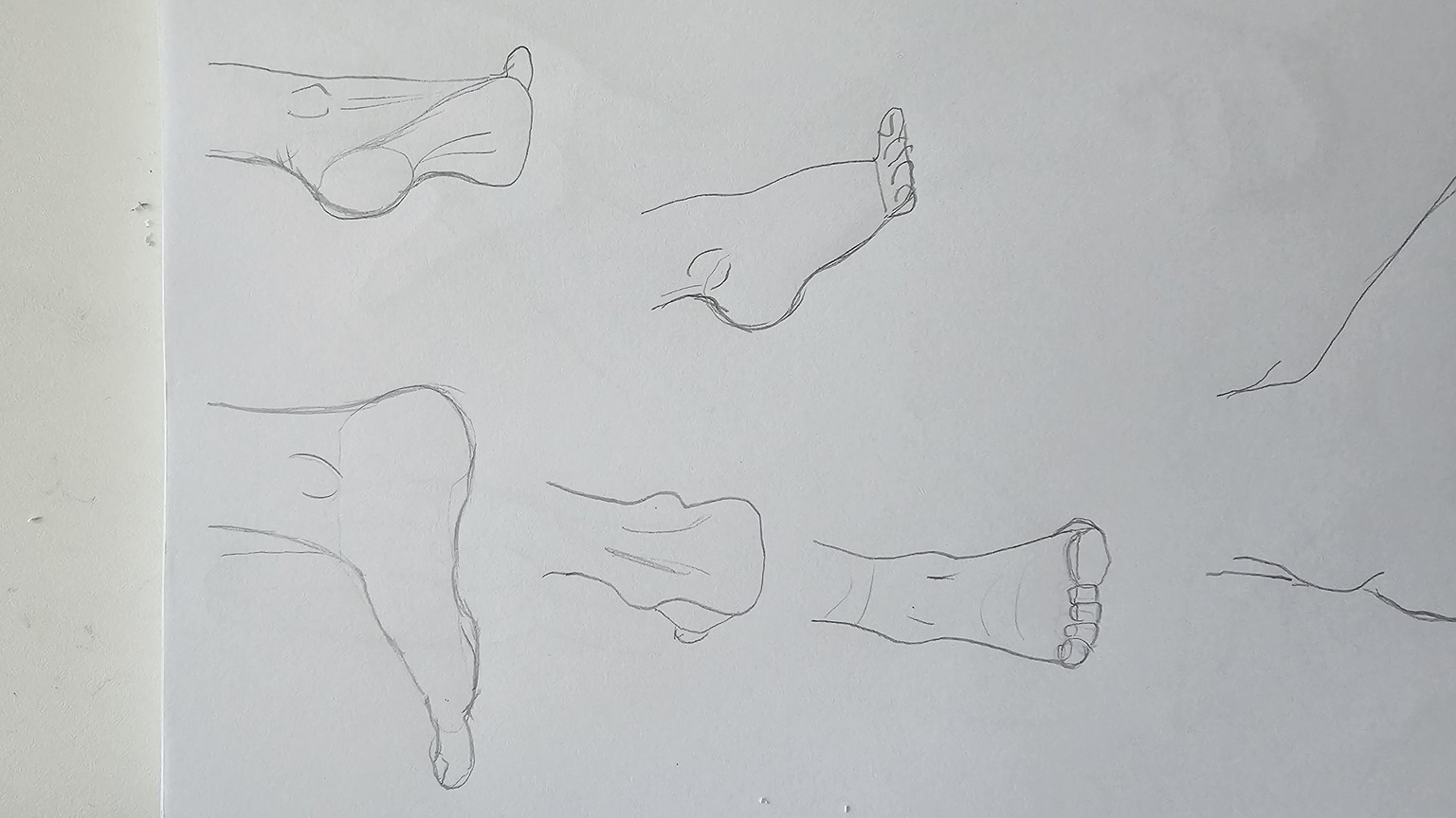 Hands and feet - image 1 - student project