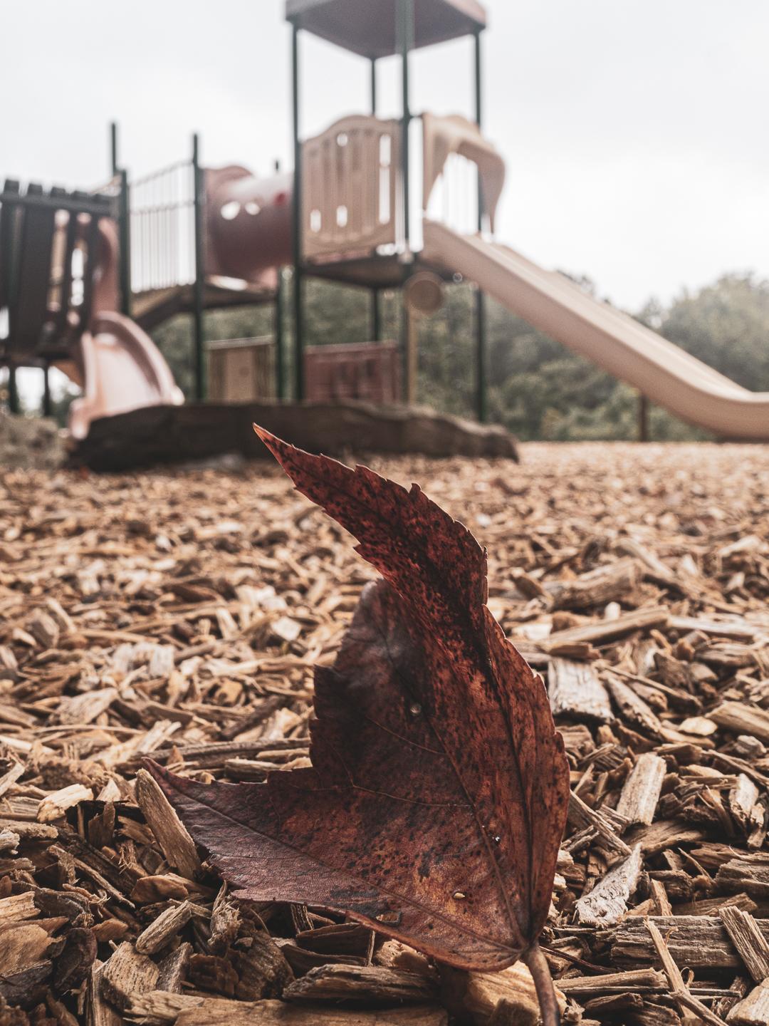 Moving and exploring - image 2 - student project