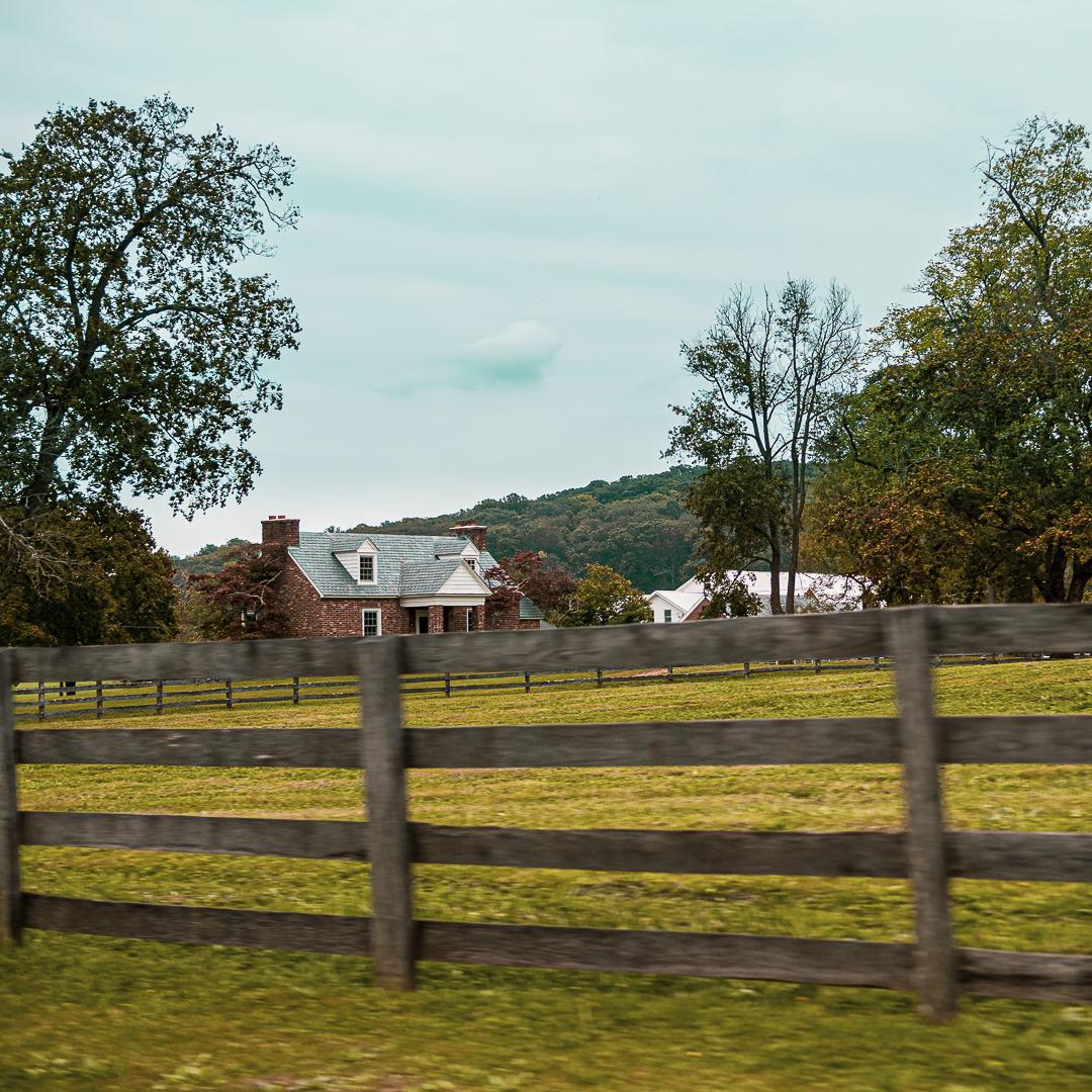 Moving and exploring - image 4 - student project