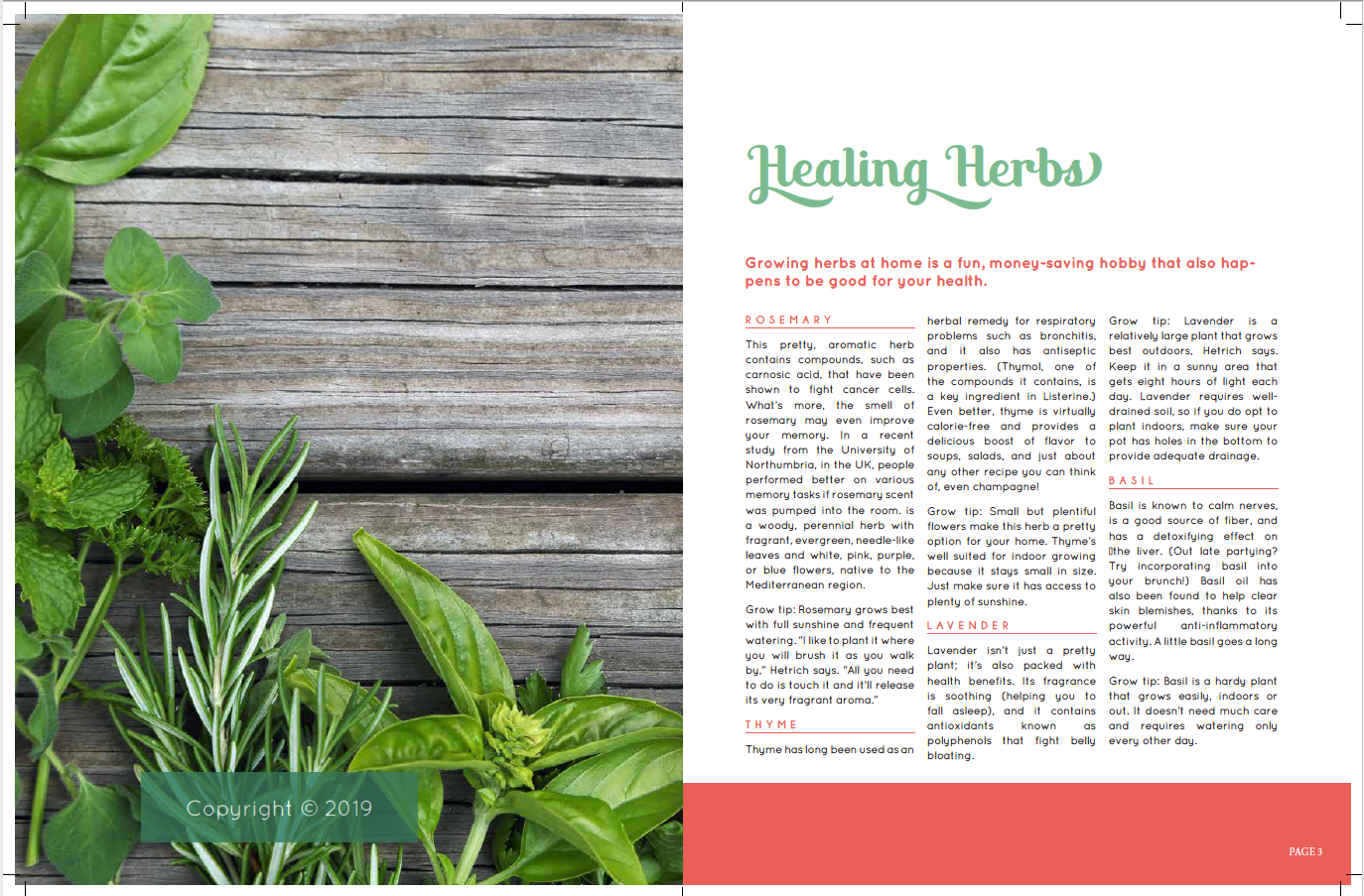 InDesign Practice - image 7 - student project