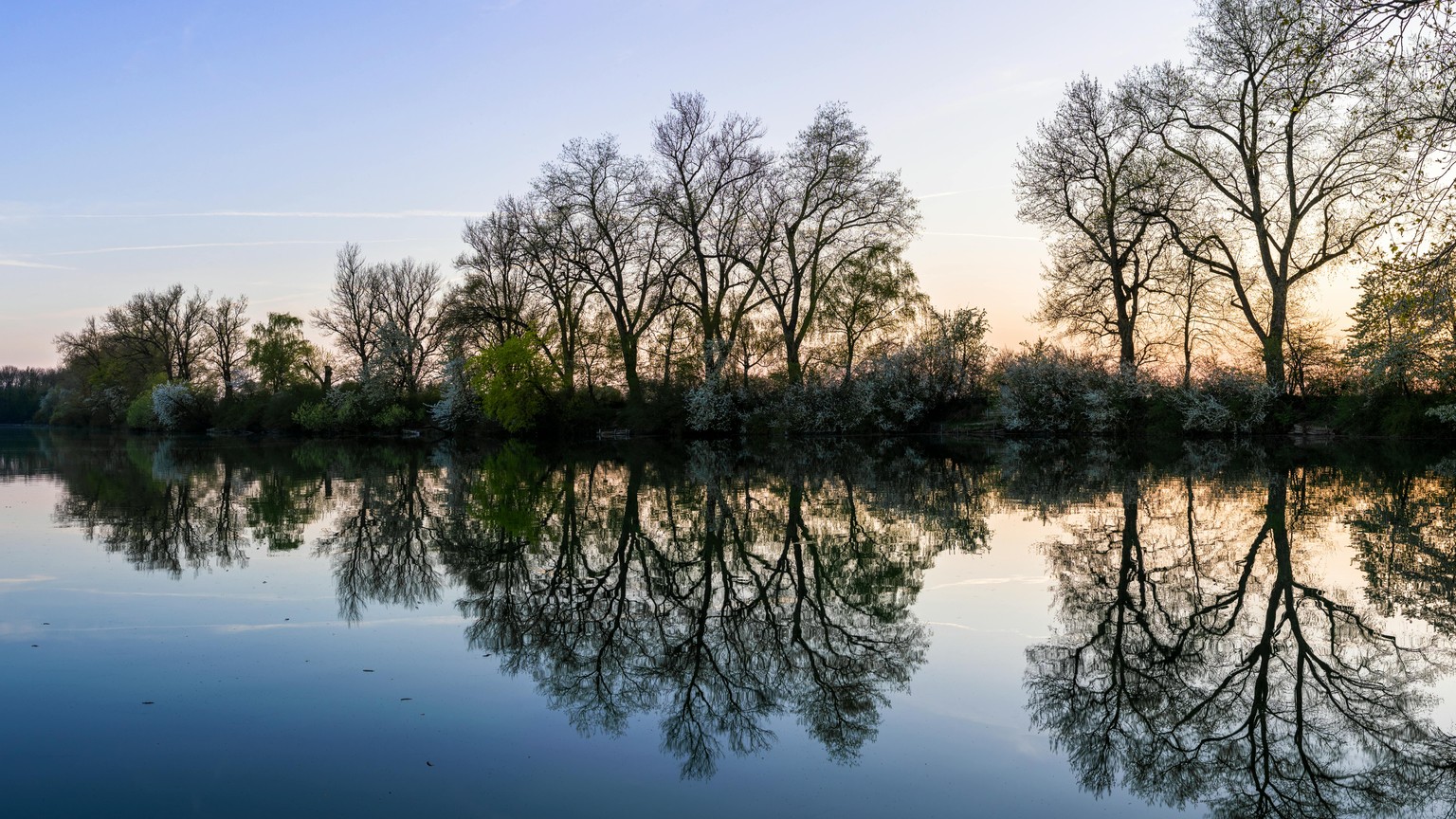 Painting Landscapes for Beginners: How to Simplify a Reference Photo - image 1 - student project