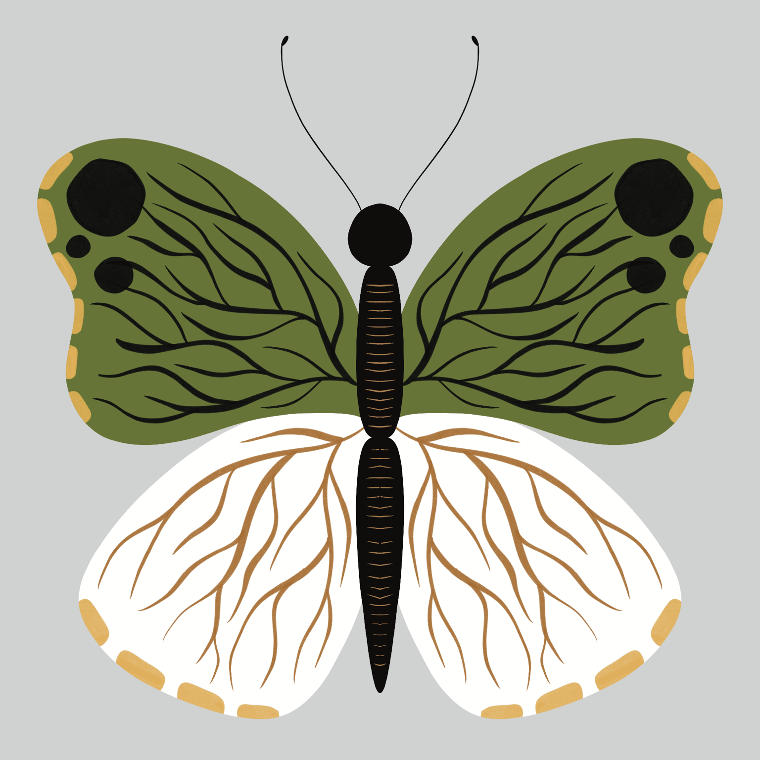 Symmetrical Illustrations - image 2 - student project