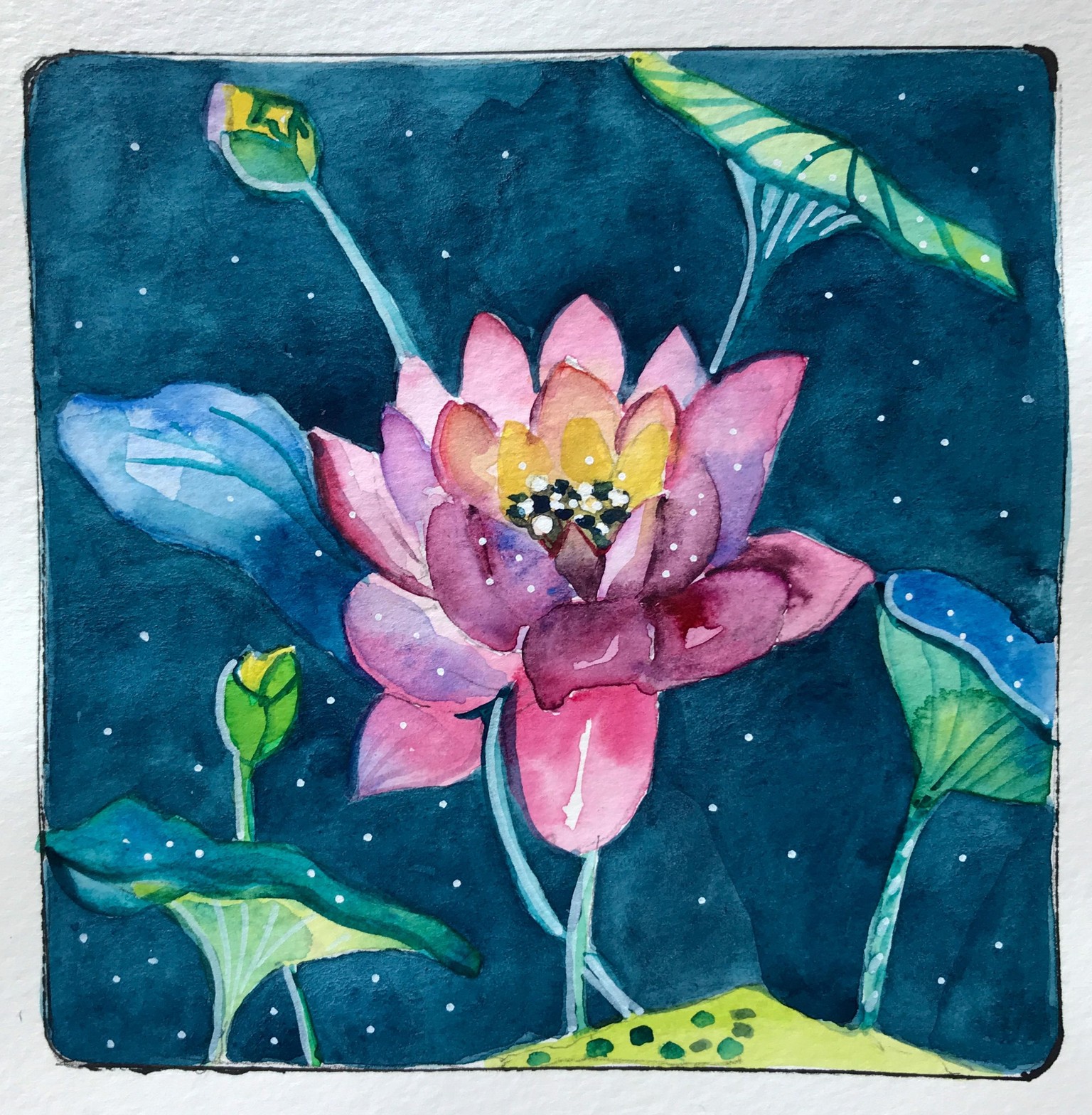 Lotus - image 1 - student project