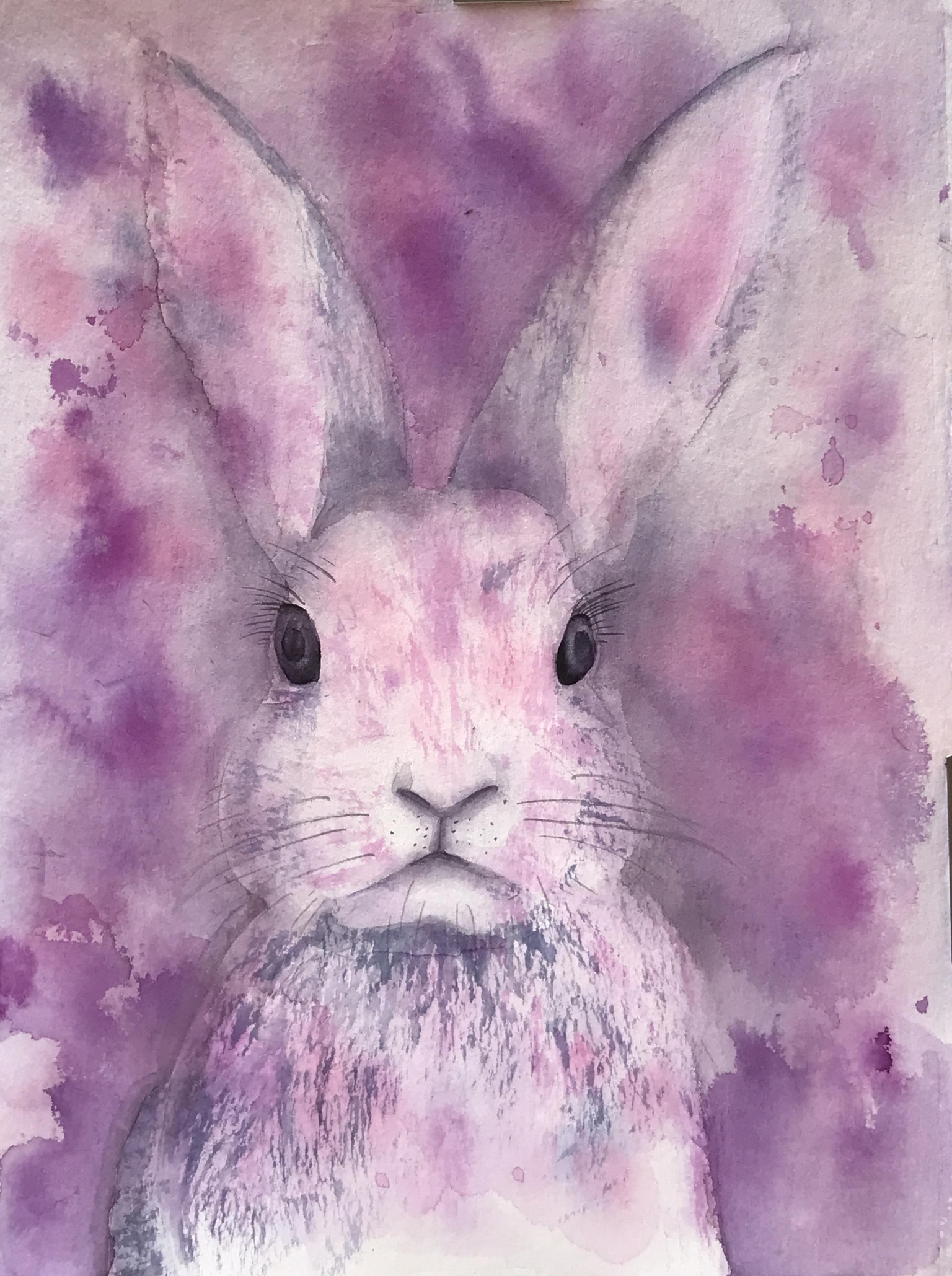 My Bunny - image 1 - student project