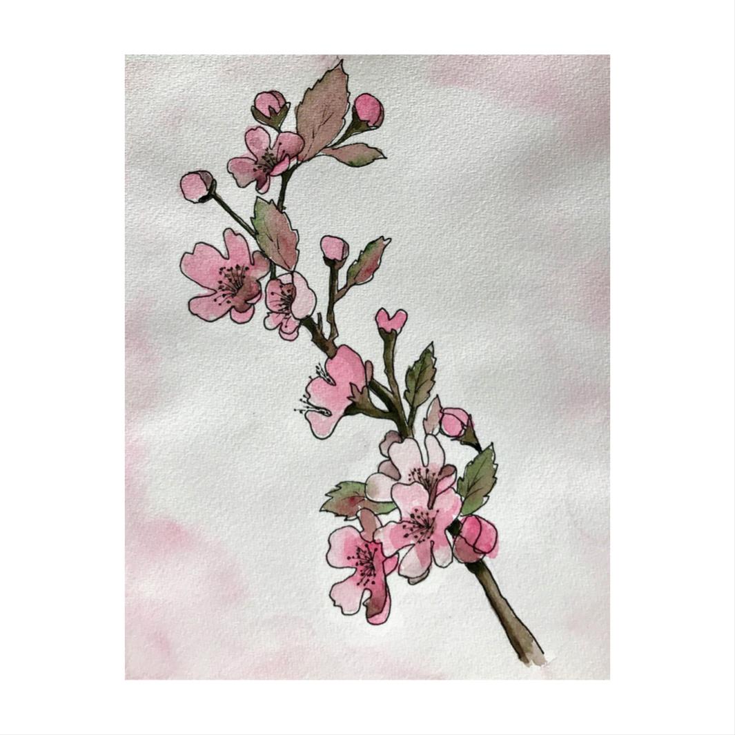Blossom - image 2 - student project