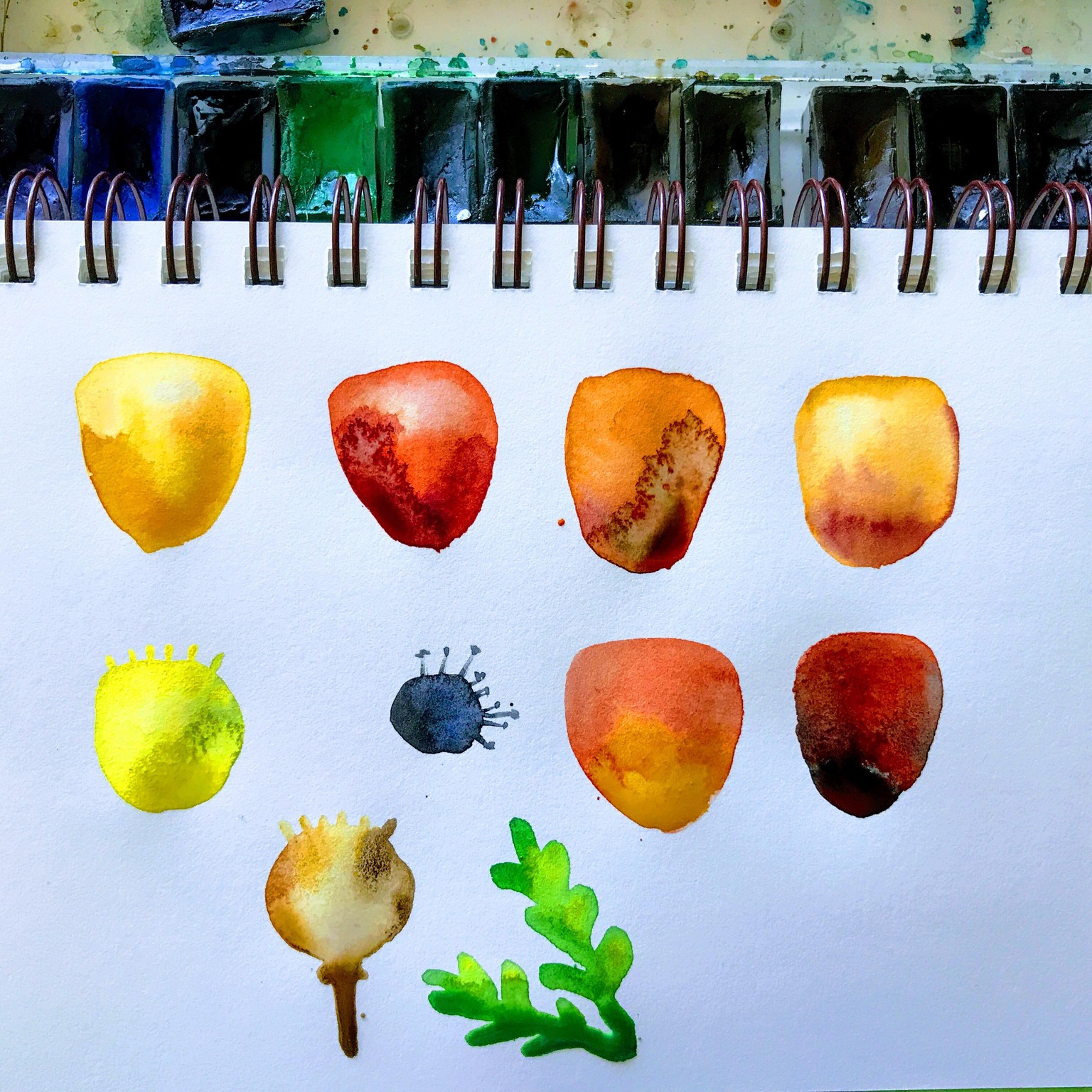 Poppy - image 3 - student project