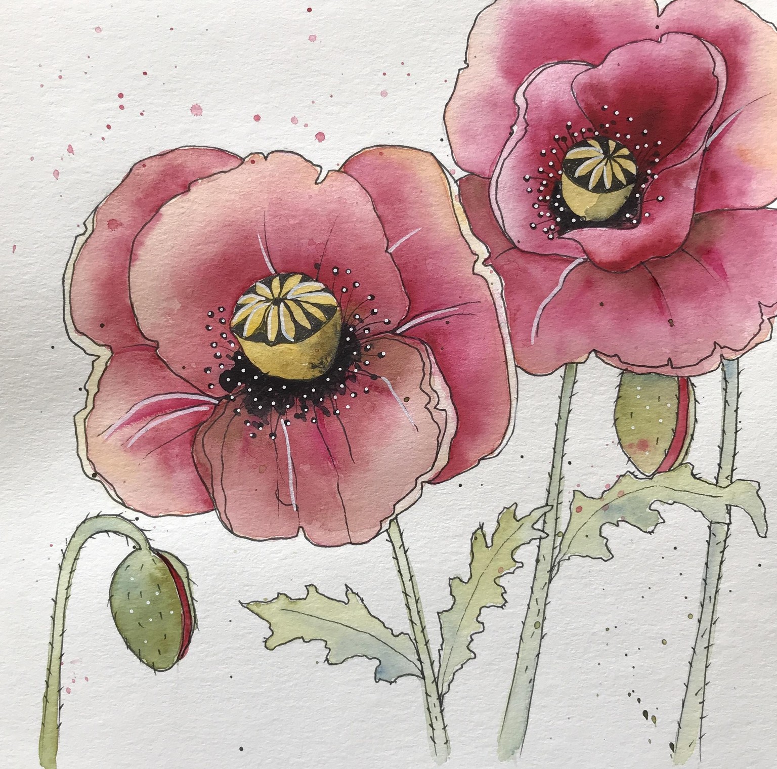 Poppy - image 1 - student project