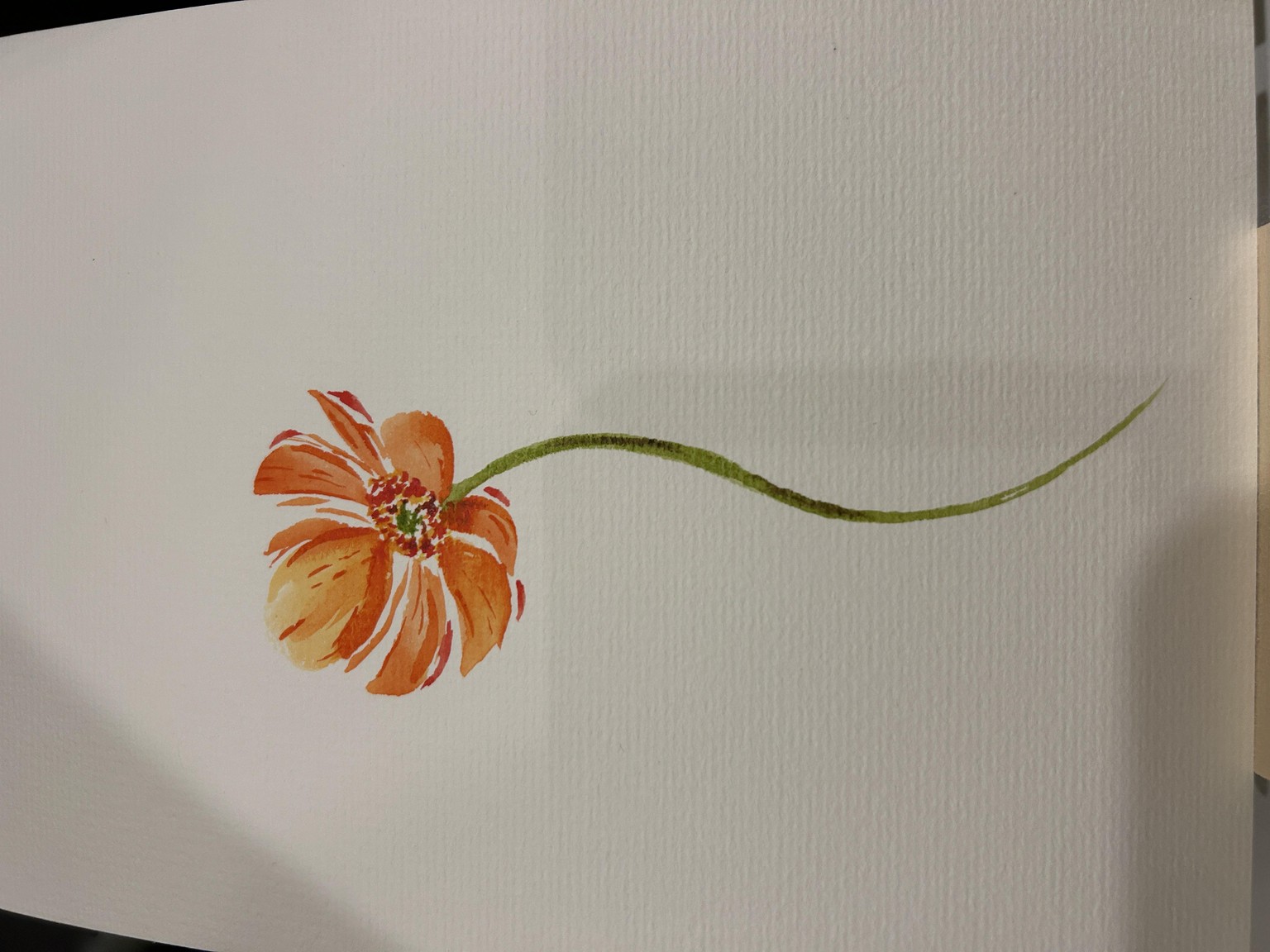 Relaxing loose flowers - image 1 - student project