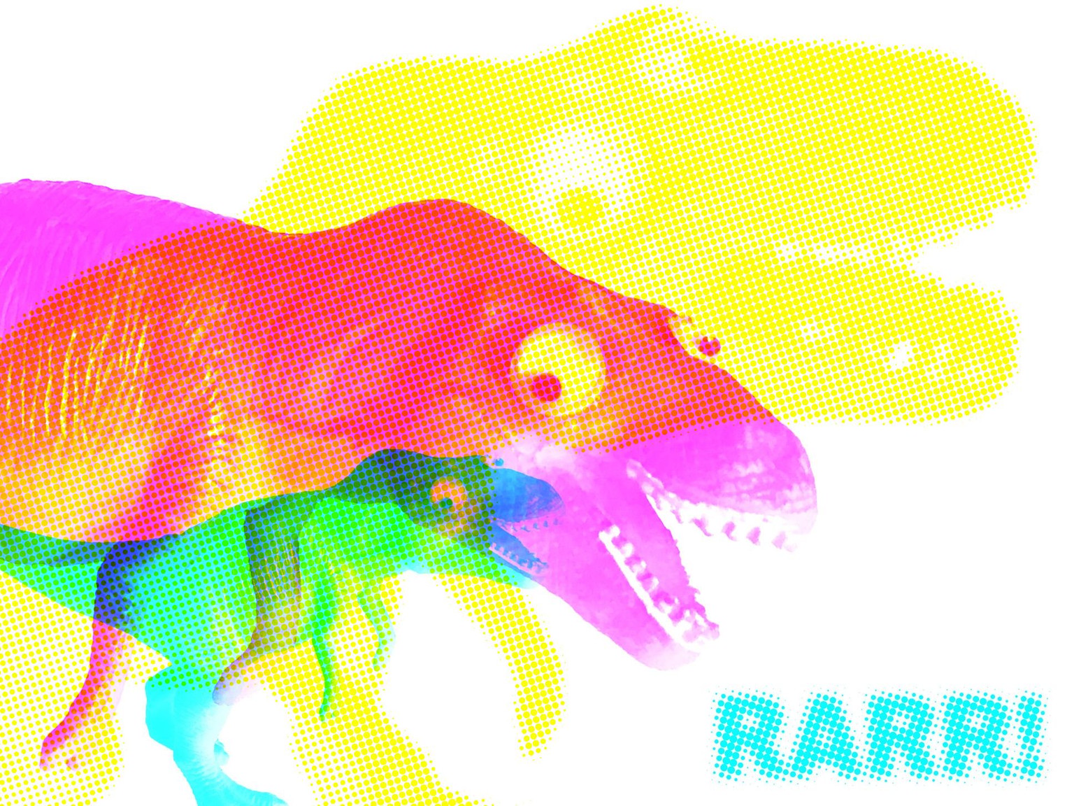 rarr - image 1 - student project