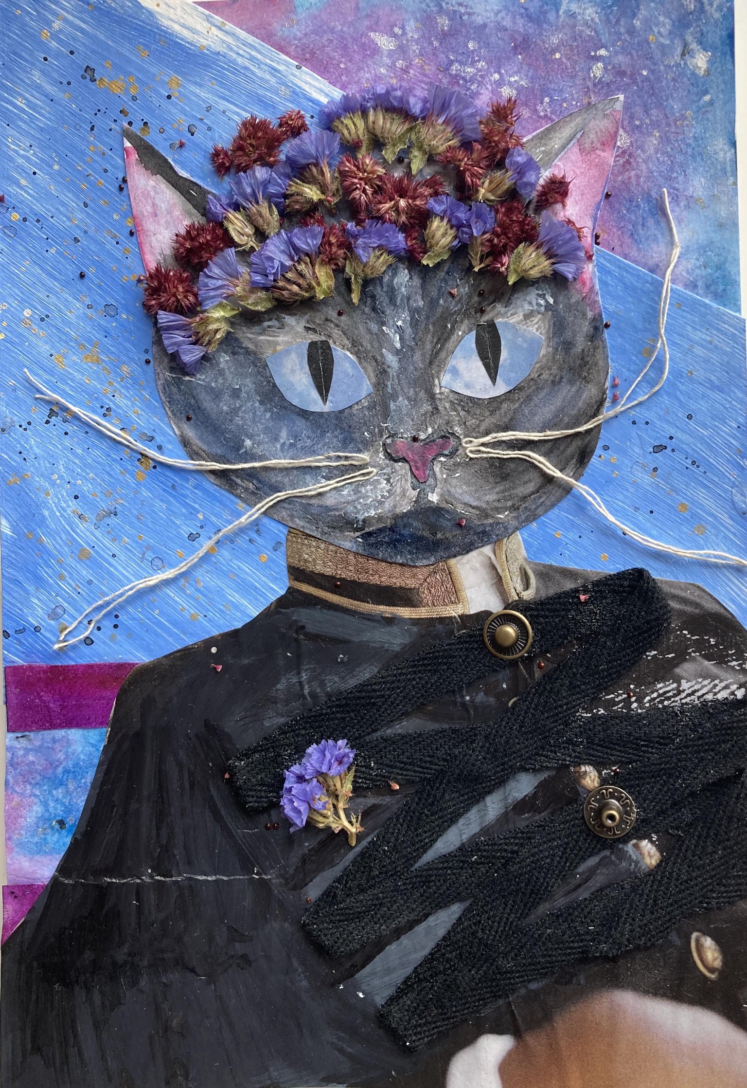 general whiskers - image 1 - student project
