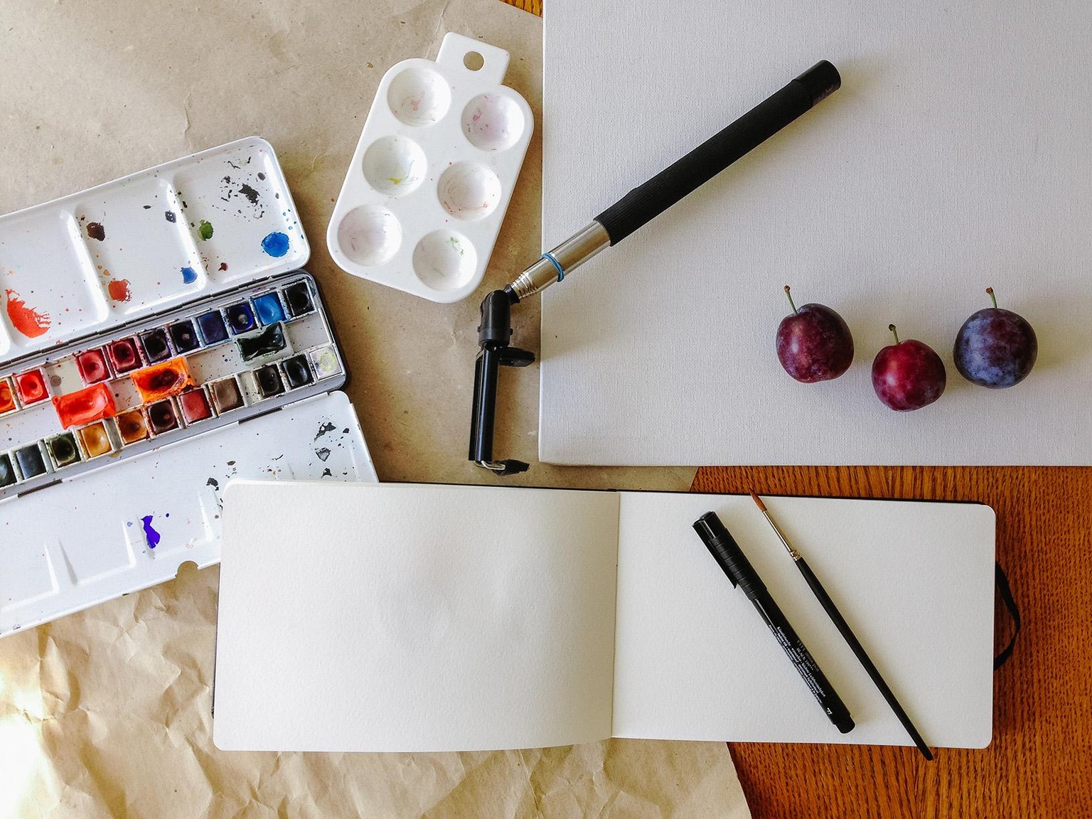 Plums and watercolour - image 1 - student project